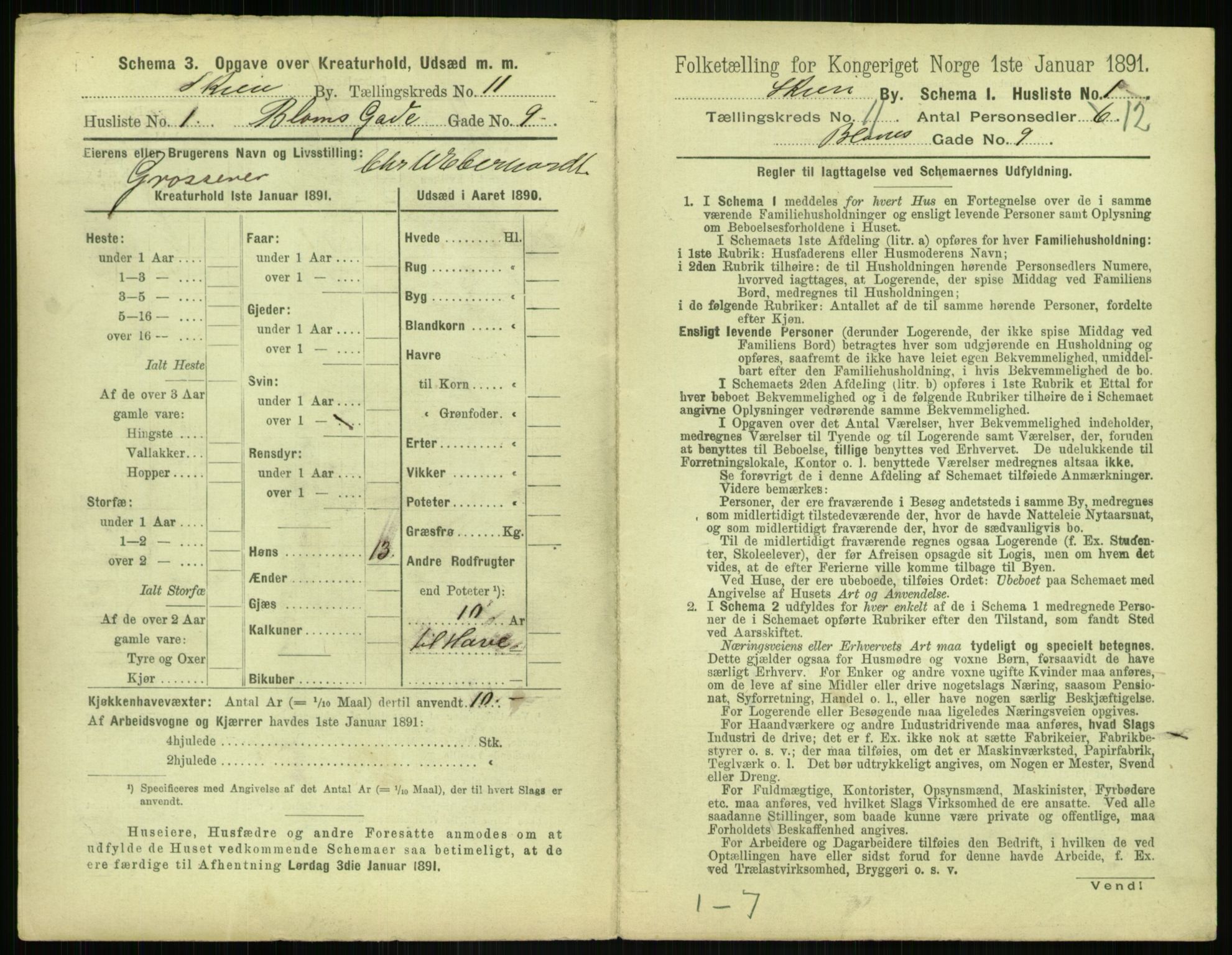 RA, 1891 census for 0806 Skien, 1891, p. 454