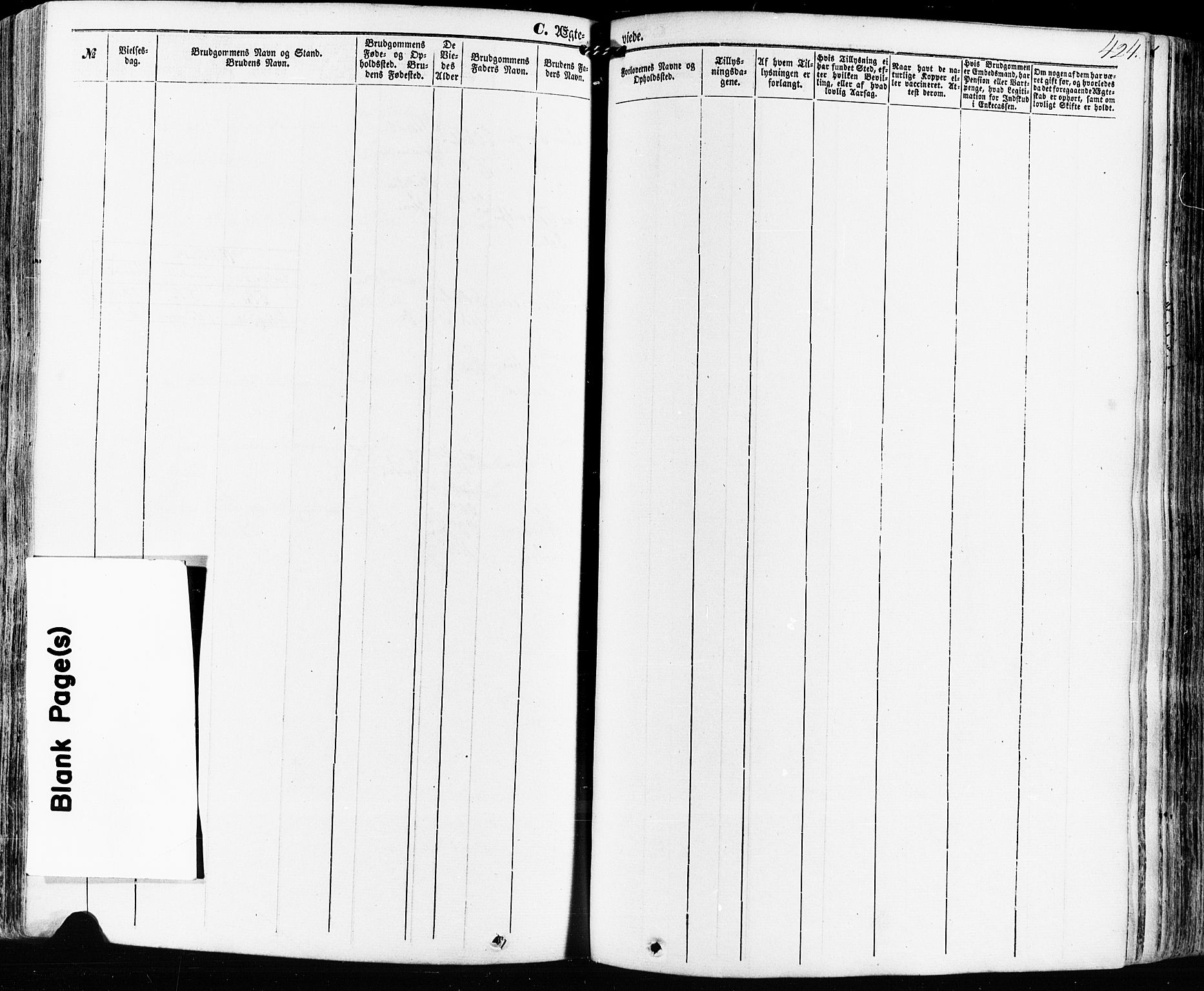 Kviteseid kirkebøker, SAKO/A-276/F/Fa/L0007: Parish register (official) no. I 7, 1859-1881, p. 424