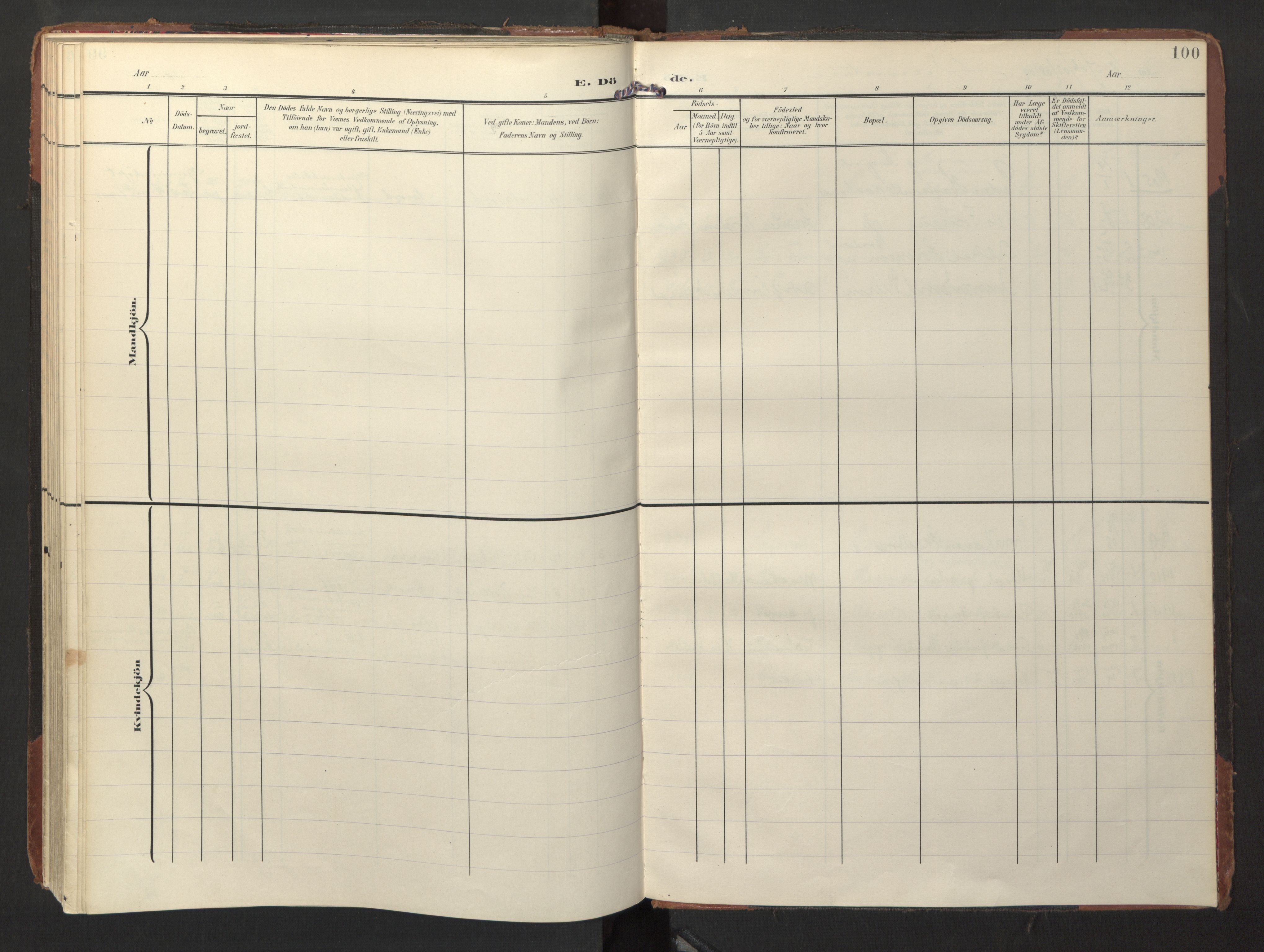 Ministerialprotokoller, klokkerbøker og fødselsregistre - Nordland, AV/SAT-A-1459/871/L1000: Parish register (official) no. 871A16, 1902-1925, p. 100