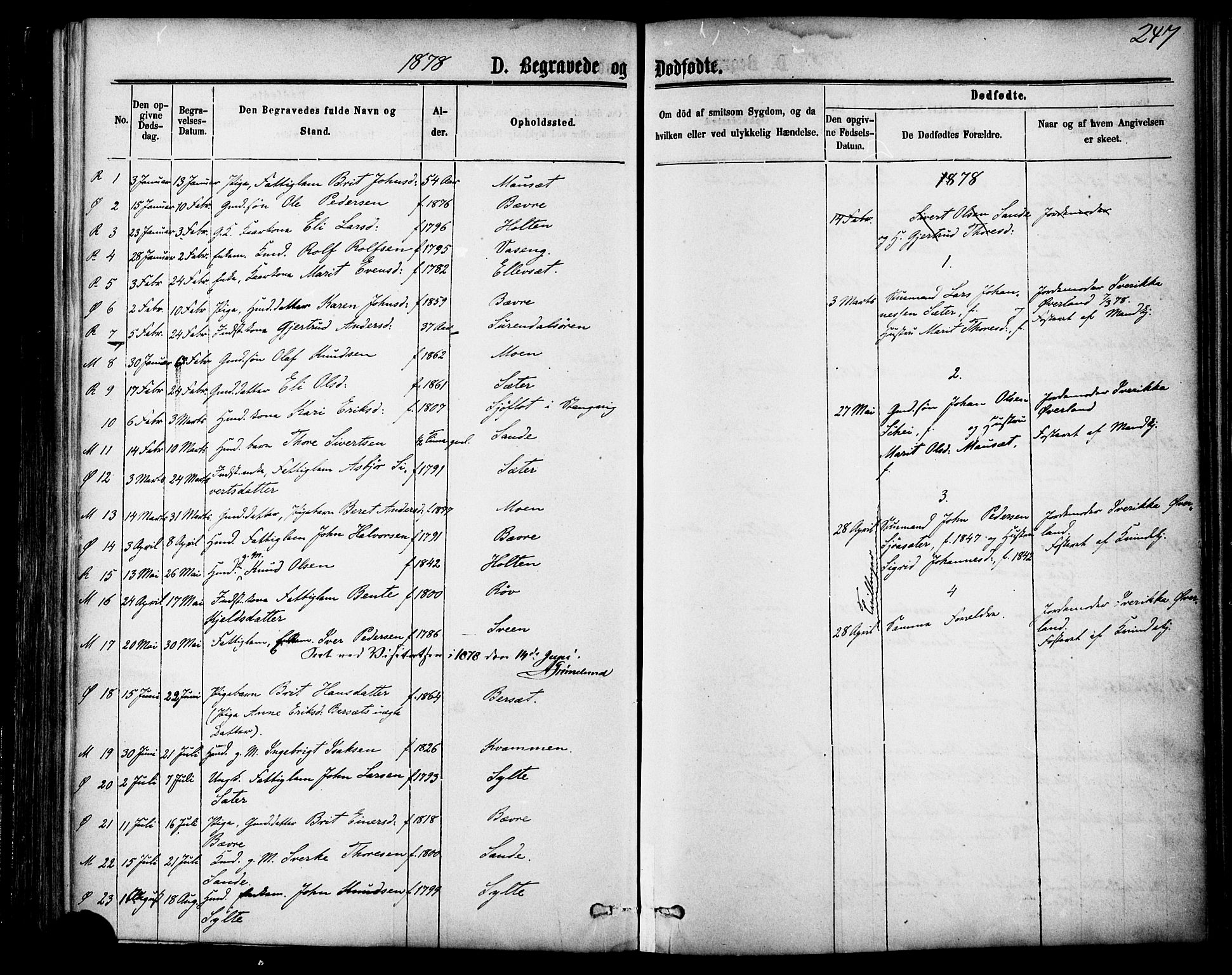 Ministerialprotokoller, klokkerbøker og fødselsregistre - Møre og Romsdal, SAT/A-1454/595/L1046: Parish register (official) no. 595A08, 1874-1884, p. 247