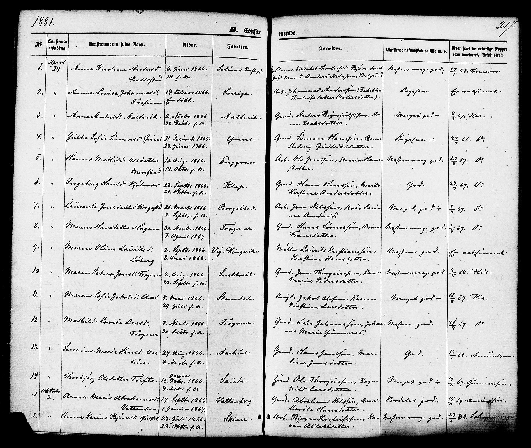 Gjerpen kirkebøker, SAKO/A-265/F/Fa/L0009: Parish register (official) no. I 9, 1872-1885, p. 217