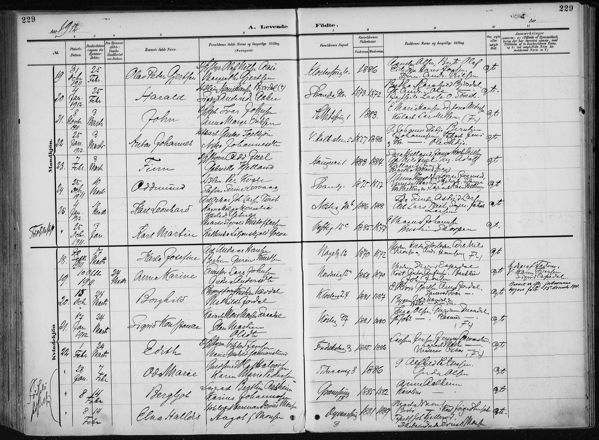 Nykirken Sokneprestembete, SAB/A-77101/H/Haa/L0019: Parish register (official) no. B 7, 1904-1916, p. 229