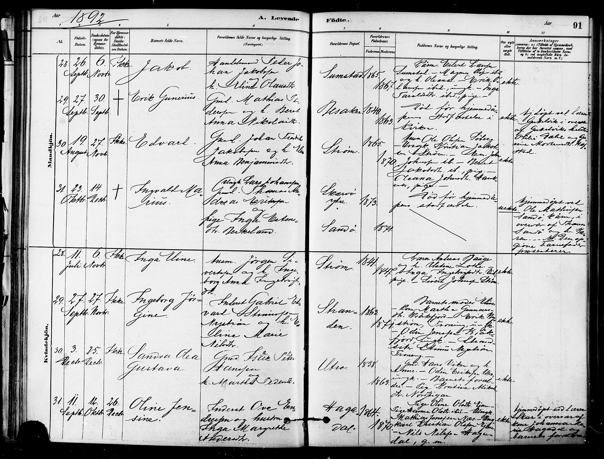 Ministerialprotokoller, klokkerbøker og fødselsregistre - Sør-Trøndelag, SAT/A-1456/657/L0707: Parish register (official) no. 657A08, 1879-1893, p. 91