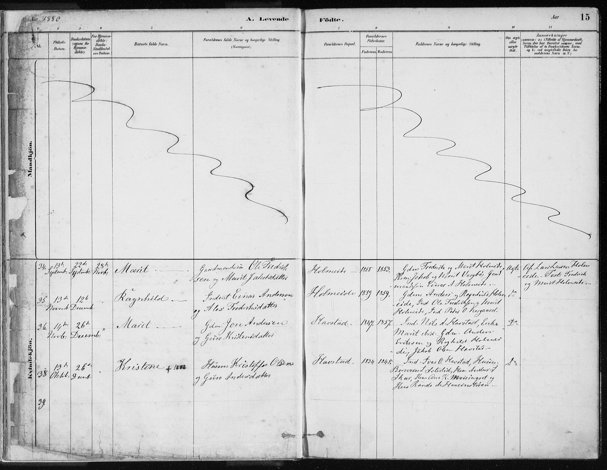 Ministerialprotokoller, klokkerbøker og fødselsregistre - Møre og Romsdal, AV/SAT-A-1454/586/L0987: Parish register (official) no. 586A13, 1879-1892, p. 15