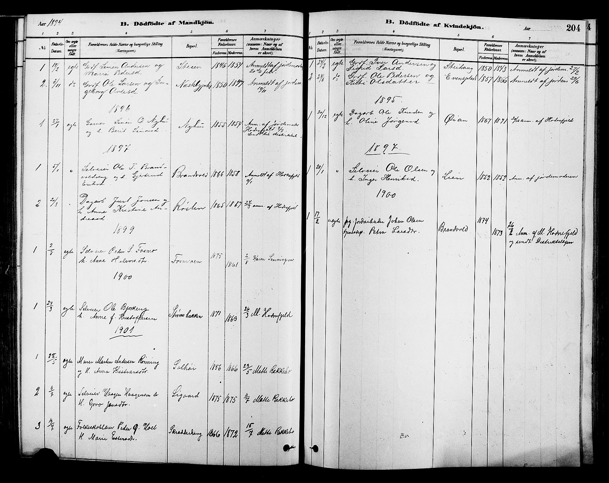 Alvdal prestekontor, SAH/PREST-060/H/Ha/Hab/L0003: Parish register (copy) no. 3, 1878-1907, p. 204