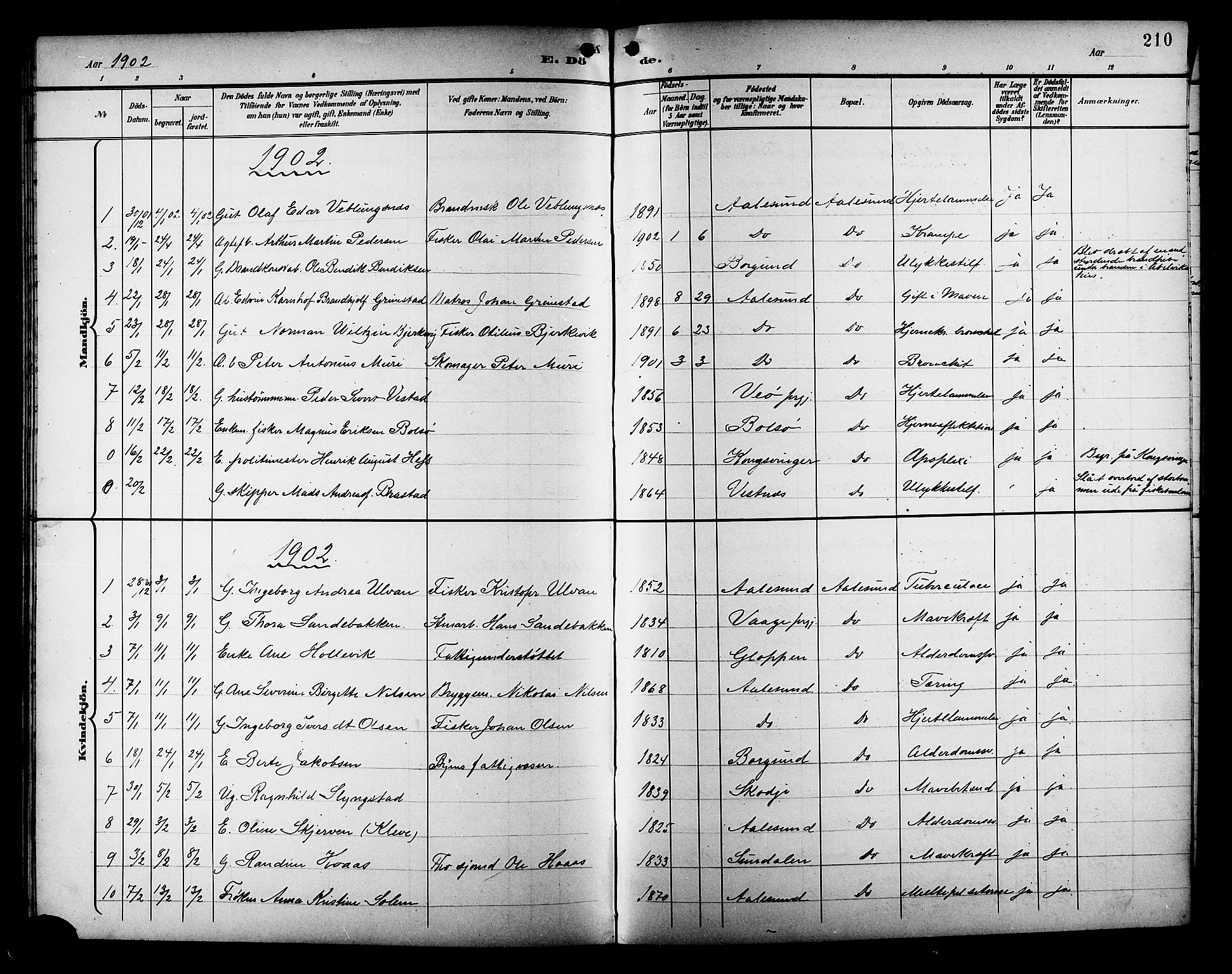 Ministerialprotokoller, klokkerbøker og fødselsregistre - Møre og Romsdal, AV/SAT-A-1454/529/L0469: Parish register (copy) no. 529C06, 1898-1906, p. 210