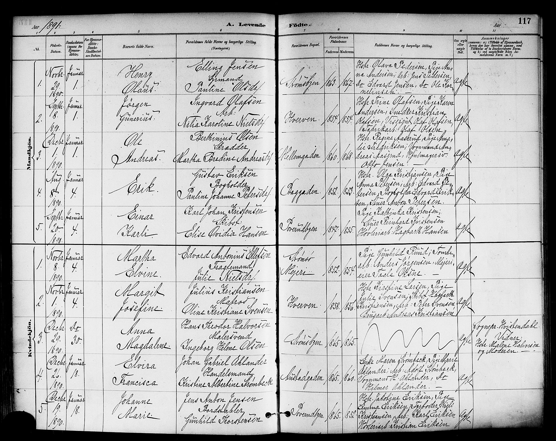 Strømsø kirkebøker, SAKO/A-246/F/Fa/L0023: Parish register (official) no. I 23, 1885-1894, p. 117