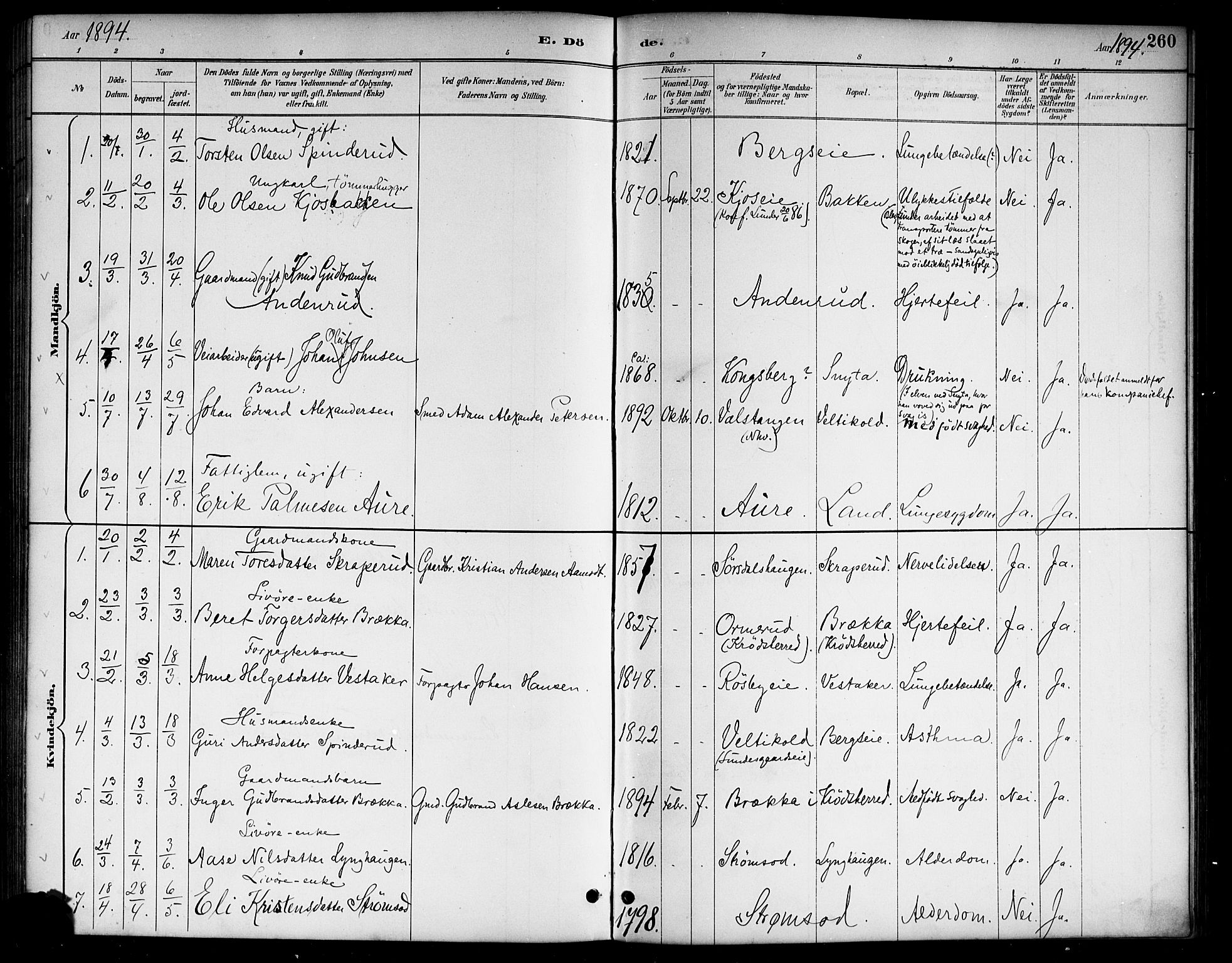 Lunder kirkebøker, SAKO/A-629/G/Ga/L0004: Parish register (copy) no. I 4, 1889-1917, p. 260