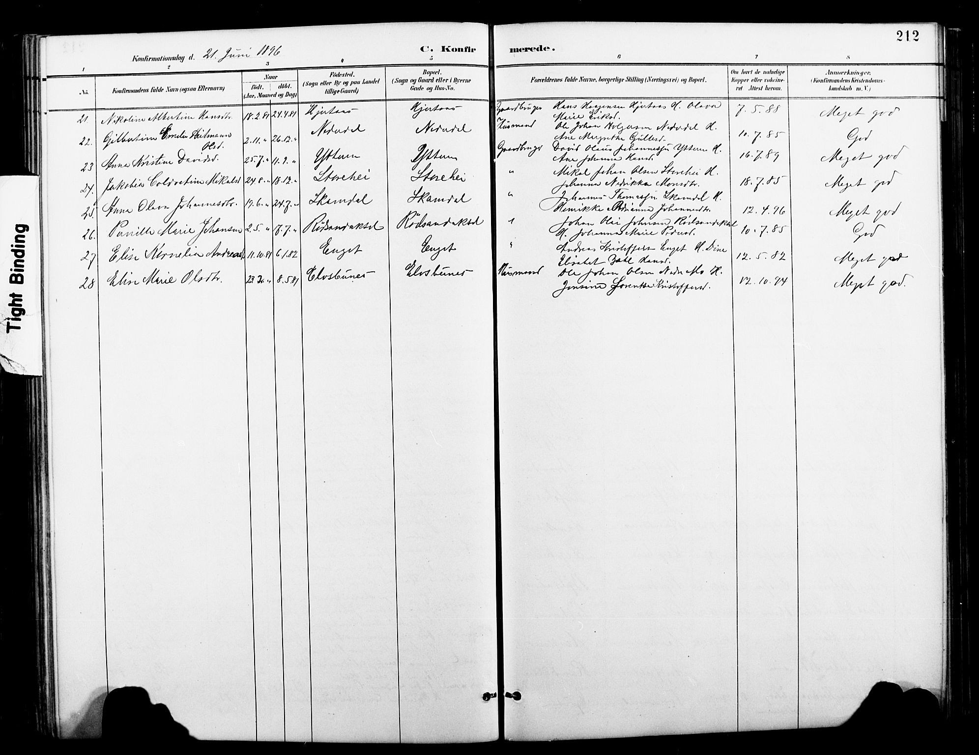 Ministerialprotokoller, klokkerbøker og fødselsregistre - Nordland, AV/SAT-A-1459/827/L0421: Parish register (copy) no. 827C10, 1887-1906, p. 212