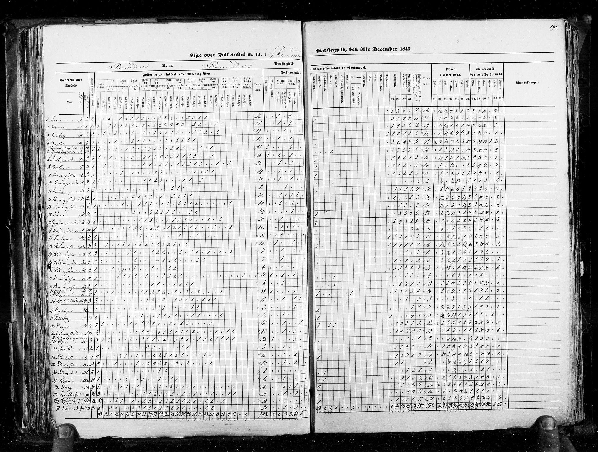 RA, Census 1845, vol. 3: Hedemarken amt og Kristians amt, 1845, p. 195