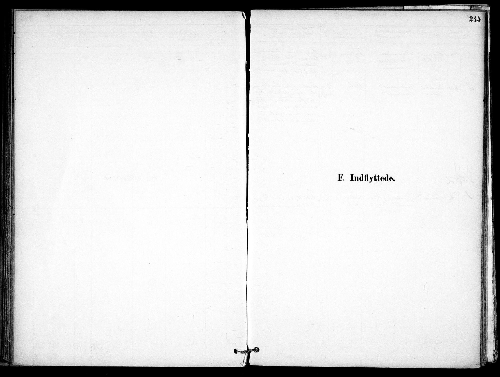 Gjerdrum prestekontor Kirkebøker, SAO/A-10412b/F/Fb/L0001: Parish register (official) no. II 1, 1881-1921, p. 245