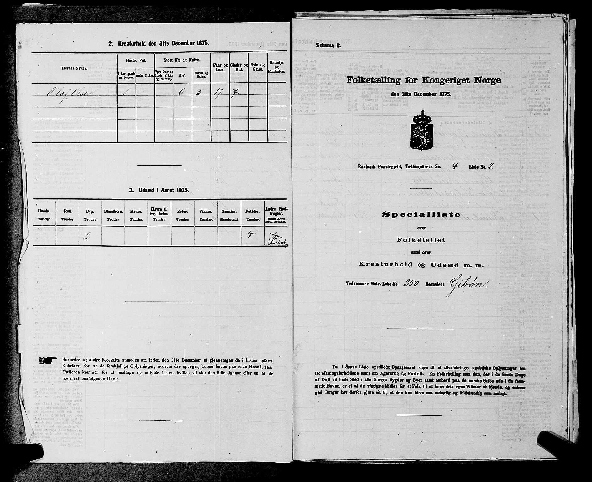 SAKO, 1875 census for 0835P Rauland, 1875, p. 228