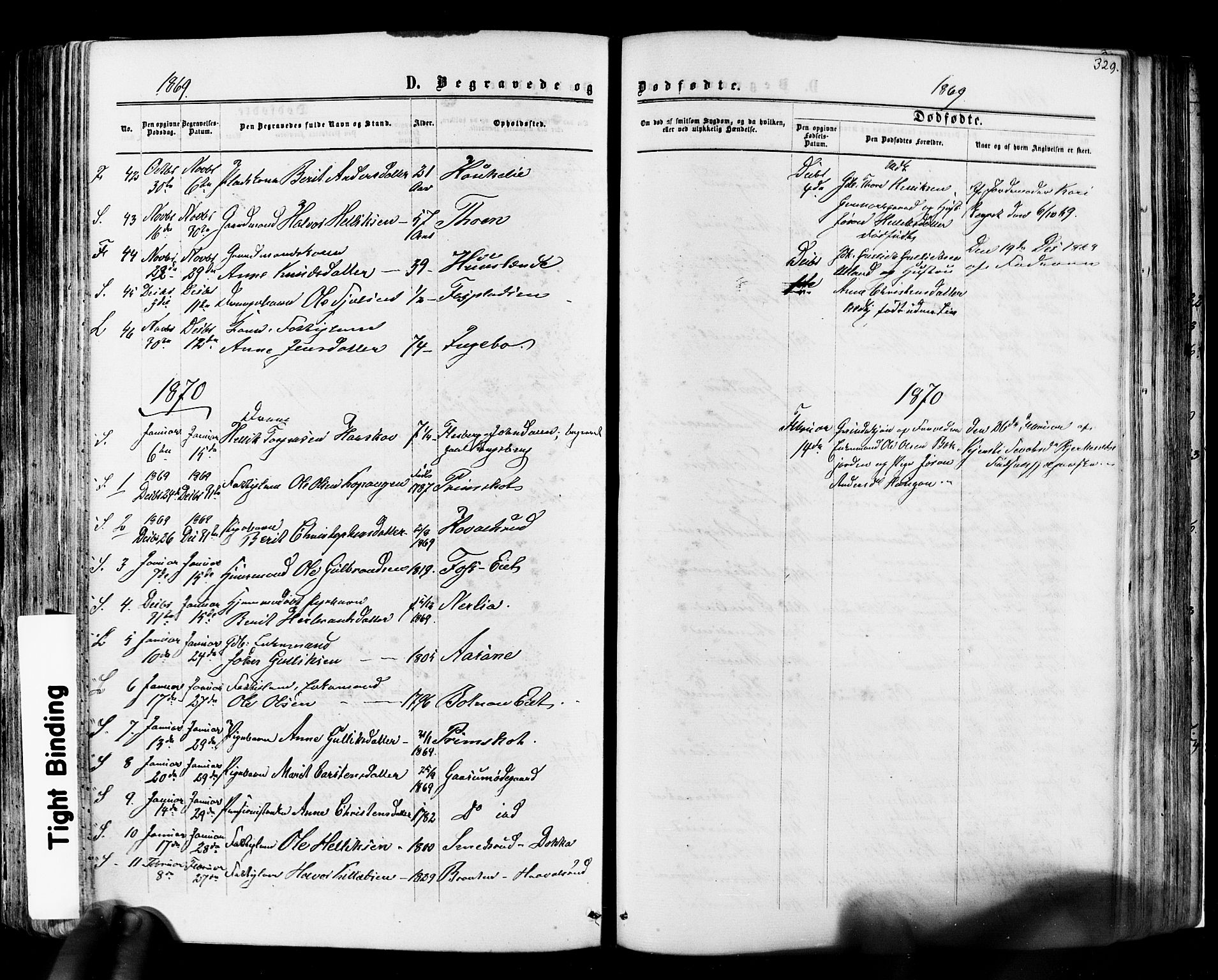 Flesberg kirkebøker, SAKO/A-18/F/Fa/L0007: Parish register (official) no. I 7, 1861-1878, p. 329
