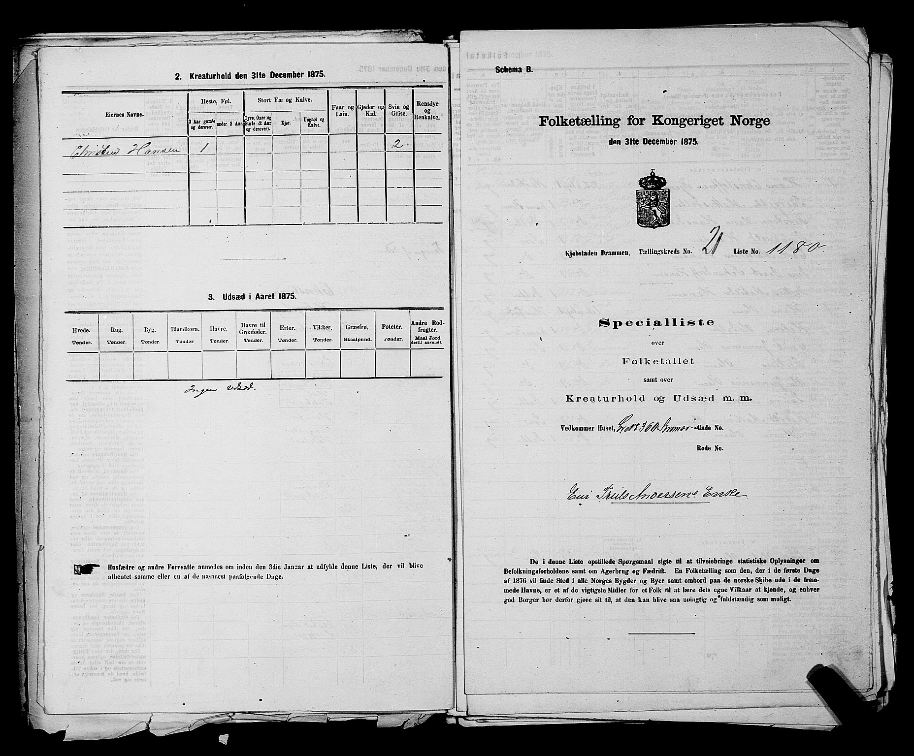 SAKO, 1875 census for 0602 Drammen, 1875, p. 2111