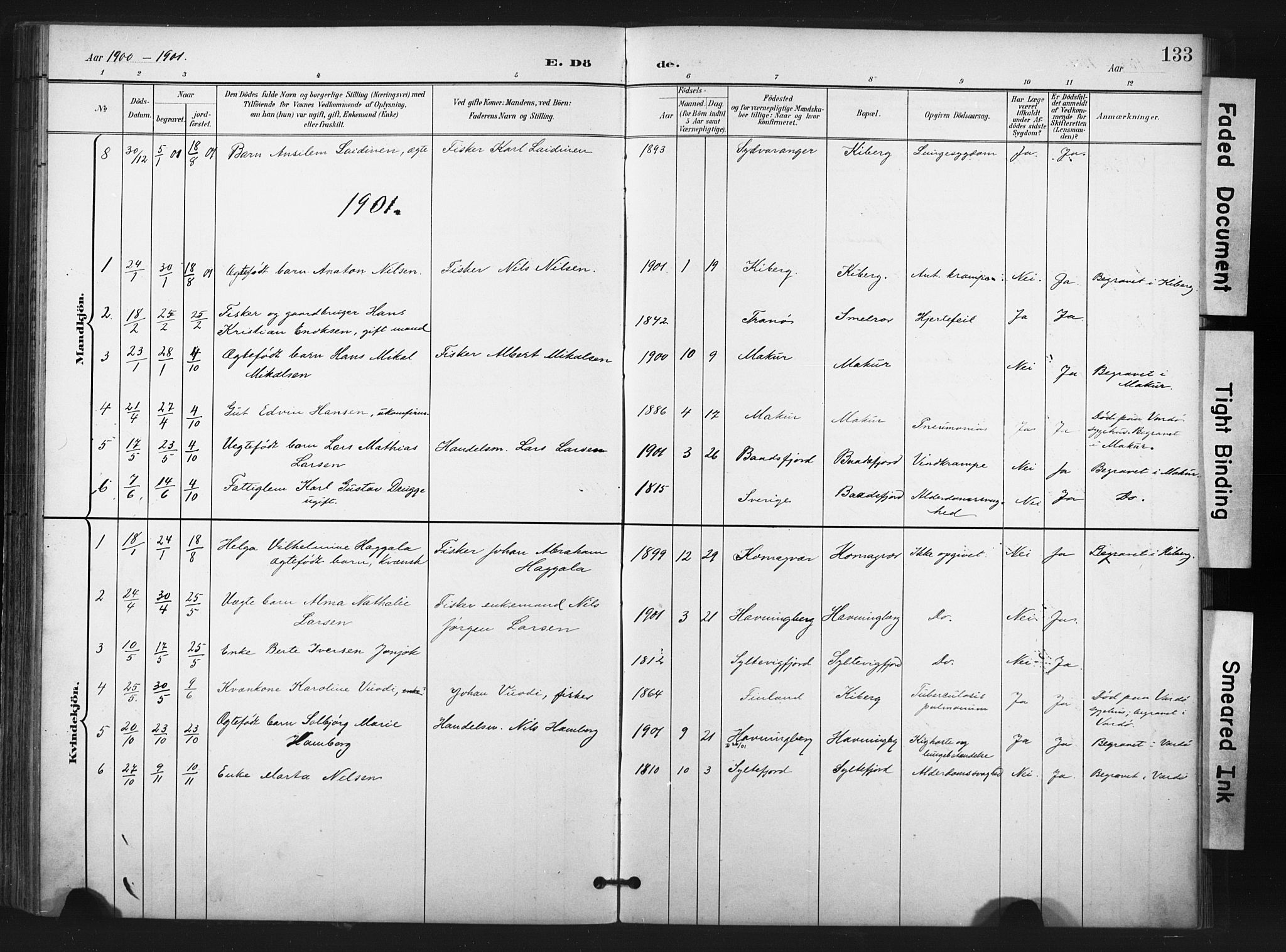 Vardø sokneprestkontor, SATØ/S-1332/H/Ha/L0011kirke: Parish register (official) no. 11, 1897-1911, p. 133