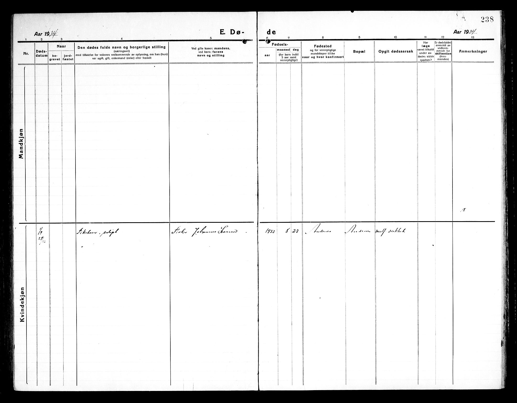 Ministerialprotokoller, klokkerbøker og fødselsregistre - Nordland, SAT/A-1459/899/L1450: Parish register (copy) no. 899C05, 1918-1945, p. 238