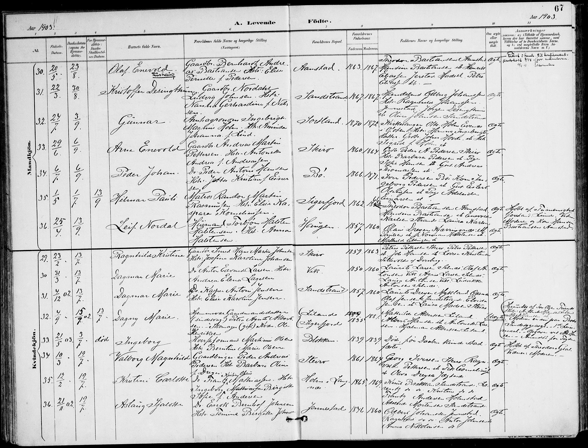 Ministerialprotokoller, klokkerbøker og fødselsregistre - Nordland, AV/SAT-A-1459/895/L1372: Parish register (official) no. 895A07, 1894-1914, p. 67