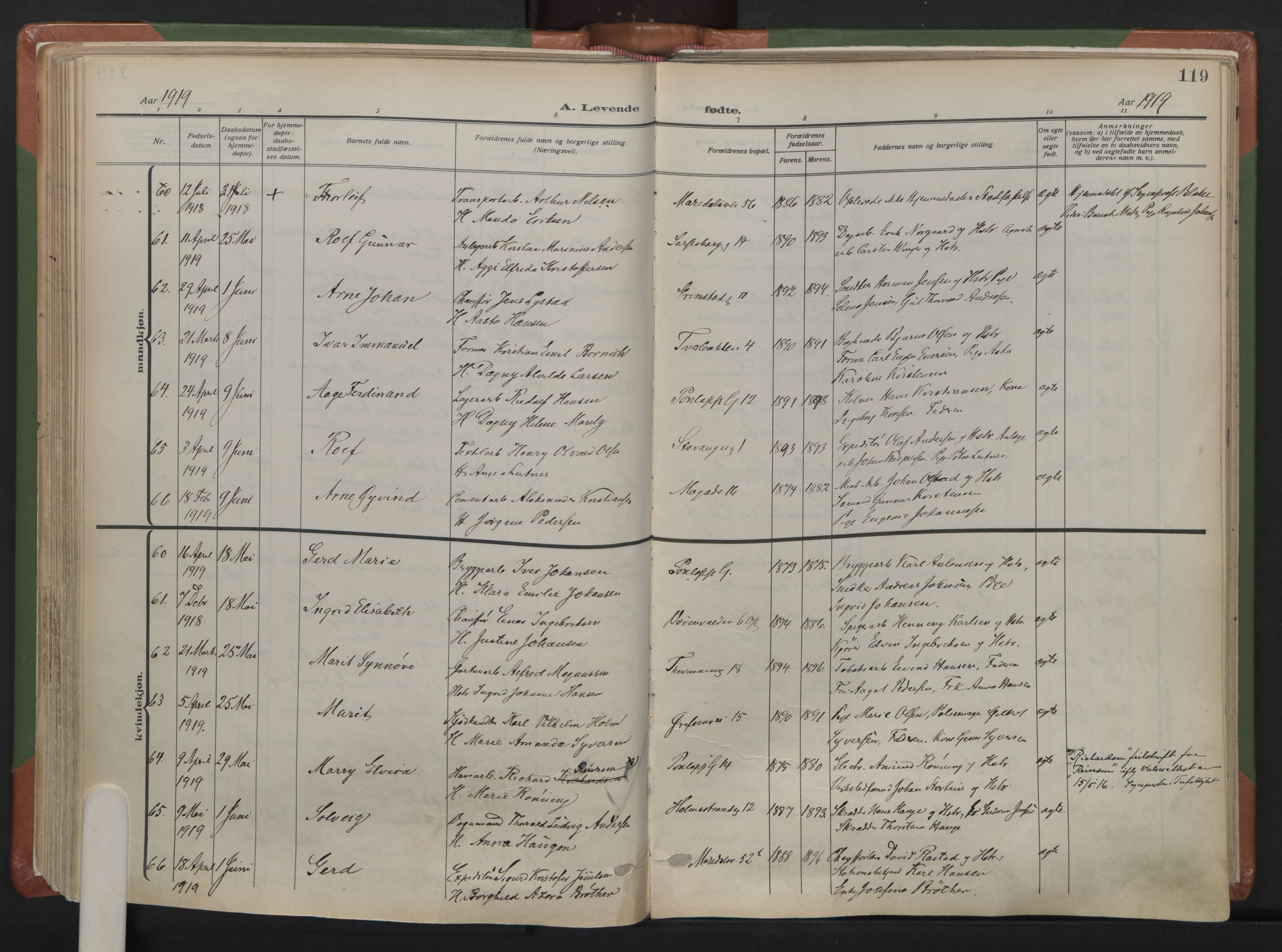 Sagene prestekontor Kirkebøker, AV/SAO-A-10796/F/L0010: Parish register (official) no. 10, 1915-1925, p. 119