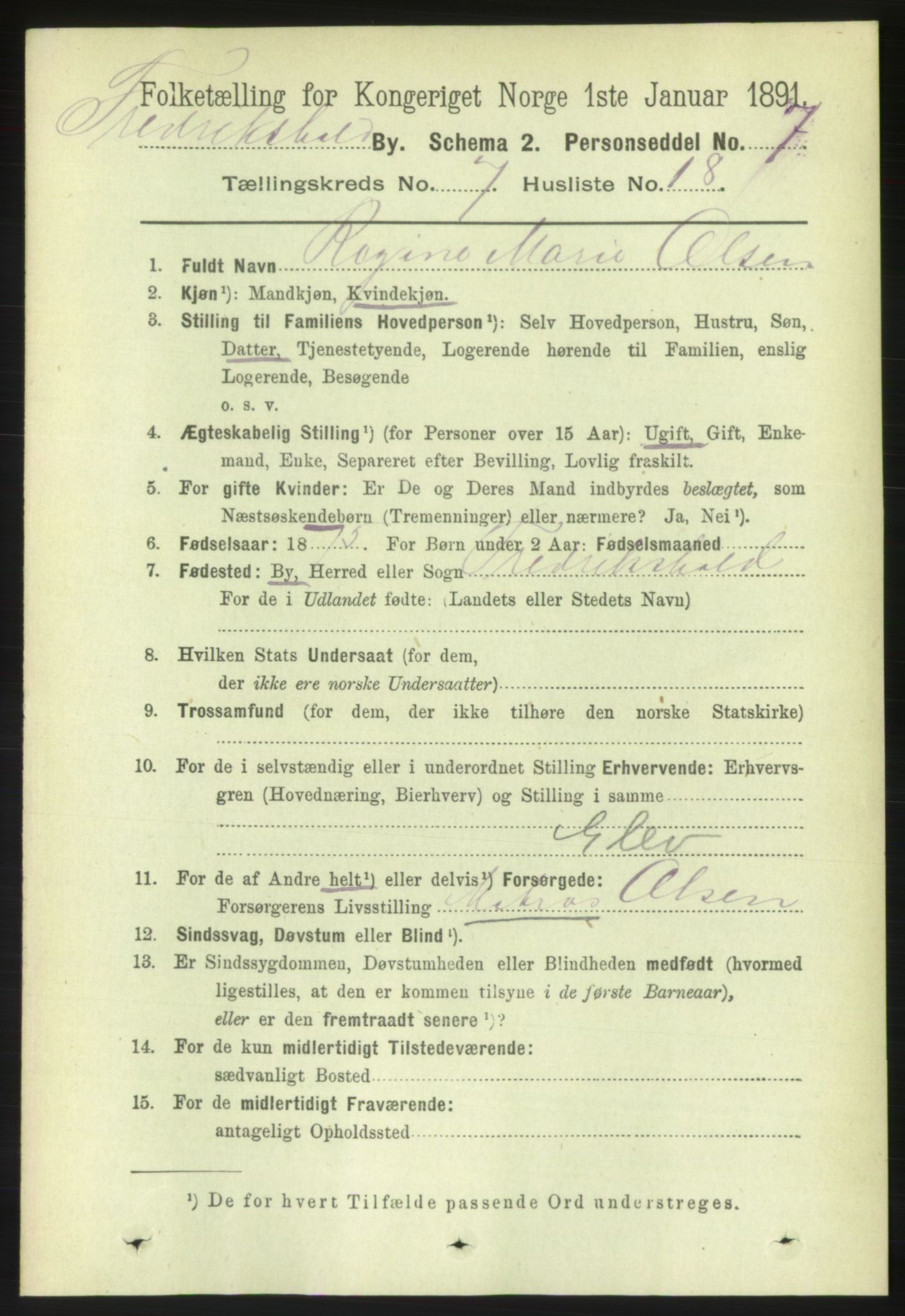 RA, 1891 census for 0101 Fredrikshald, 1891, p. 5246