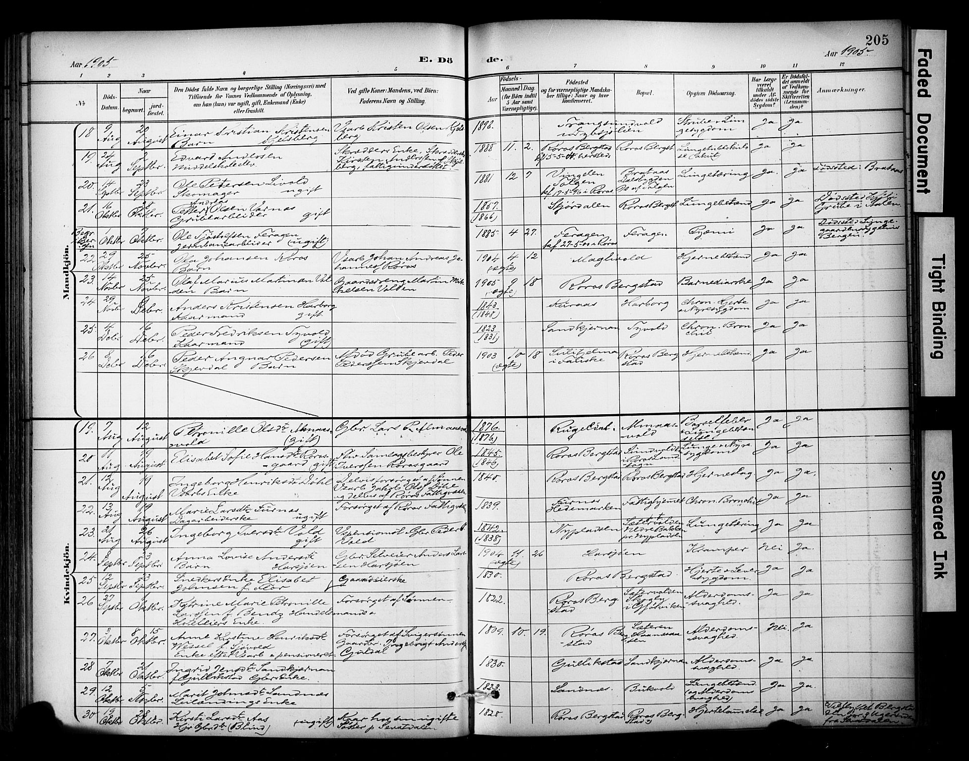 Ministerialprotokoller, klokkerbøker og fødselsregistre - Sør-Trøndelag, SAT/A-1456/681/L0936: Parish register (official) no. 681A14, 1899-1908, p. 205