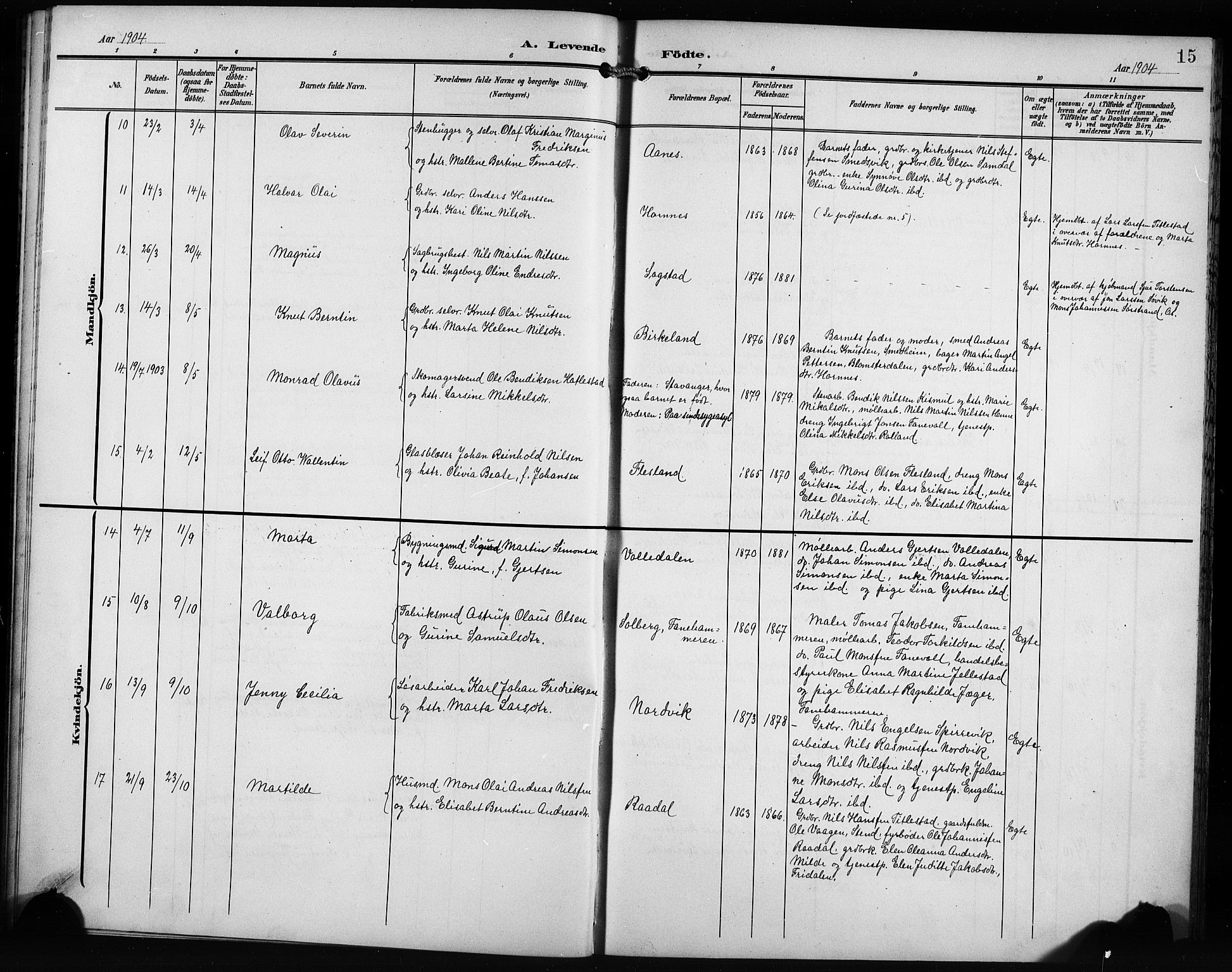 Fana Sokneprestembete, AV/SAB-A-75101/H/Hab/Haba/L0004: Parish register (copy) no. A 4, 1902-1912, p. 15