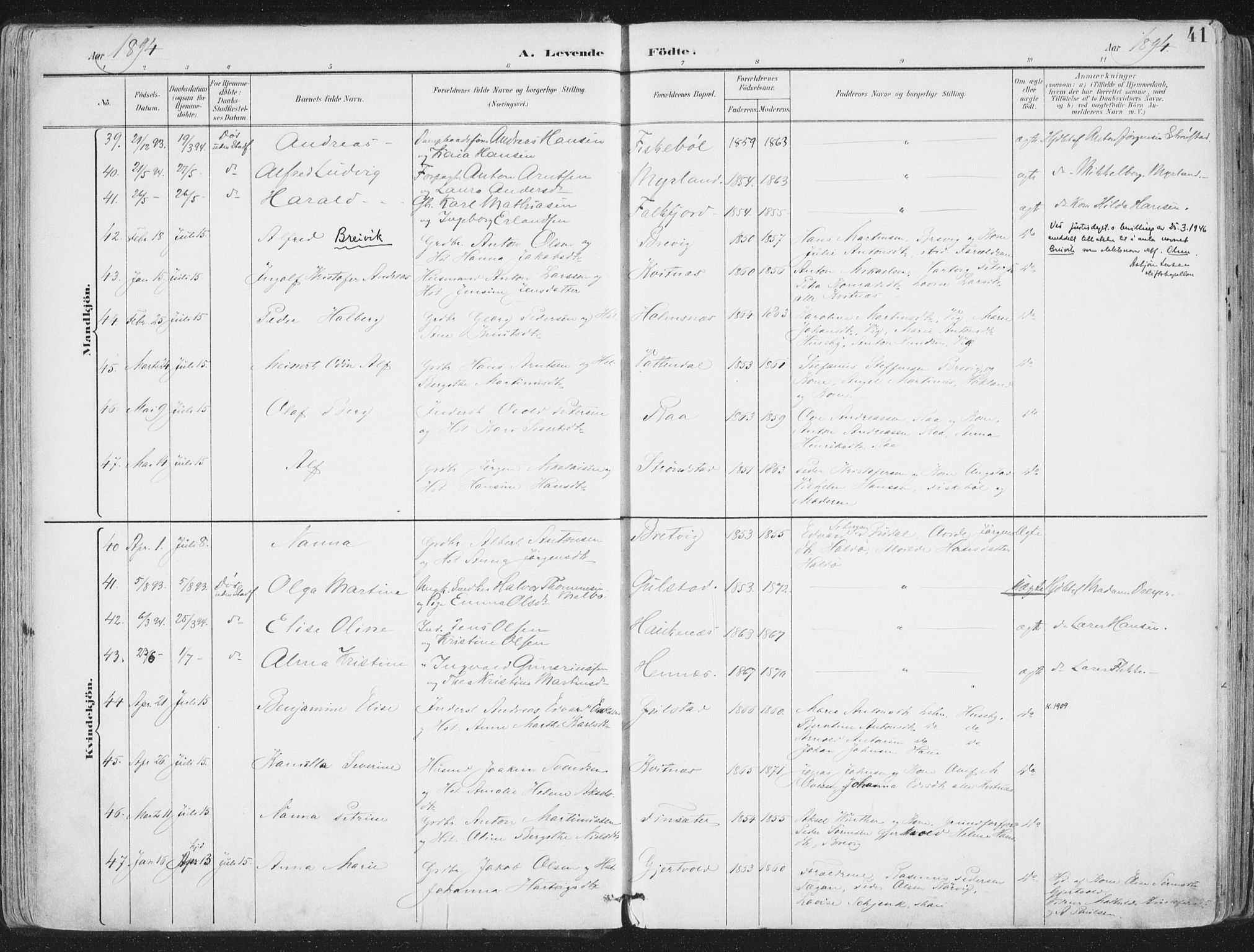 Ministerialprotokoller, klokkerbøker og fødselsregistre - Nordland, AV/SAT-A-1459/888/L1246: Parish register (official) no. 888A12, 1891-1903, p. 41