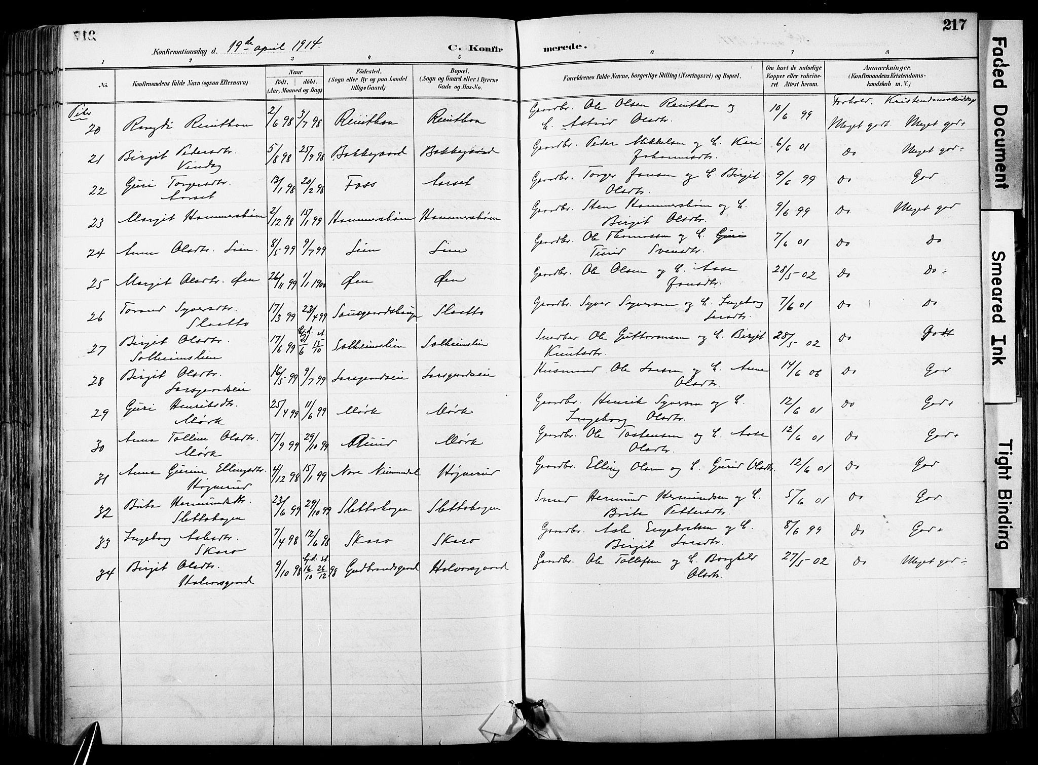 Hol kirkebøker, AV/SAKO-A-227/F/Fa/L0003: Parish register (official) no. I 3, 1887-1918, p. 217