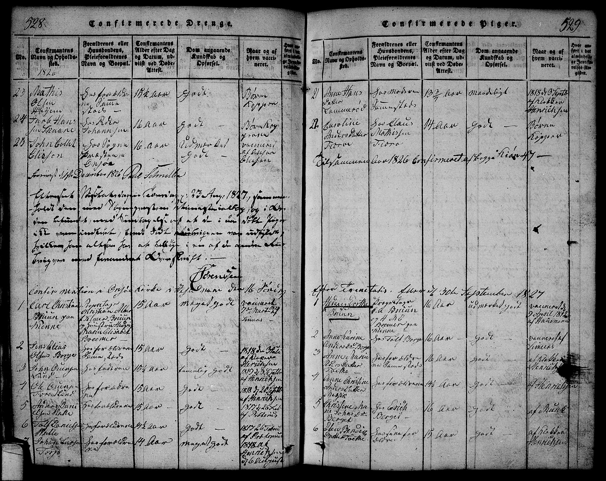 Onsøy prestekontor Kirkebøker, SAO/A-10914/G/Ga/L0001: Parish register (copy) no. I 1, 1814-1840, p. 528-529