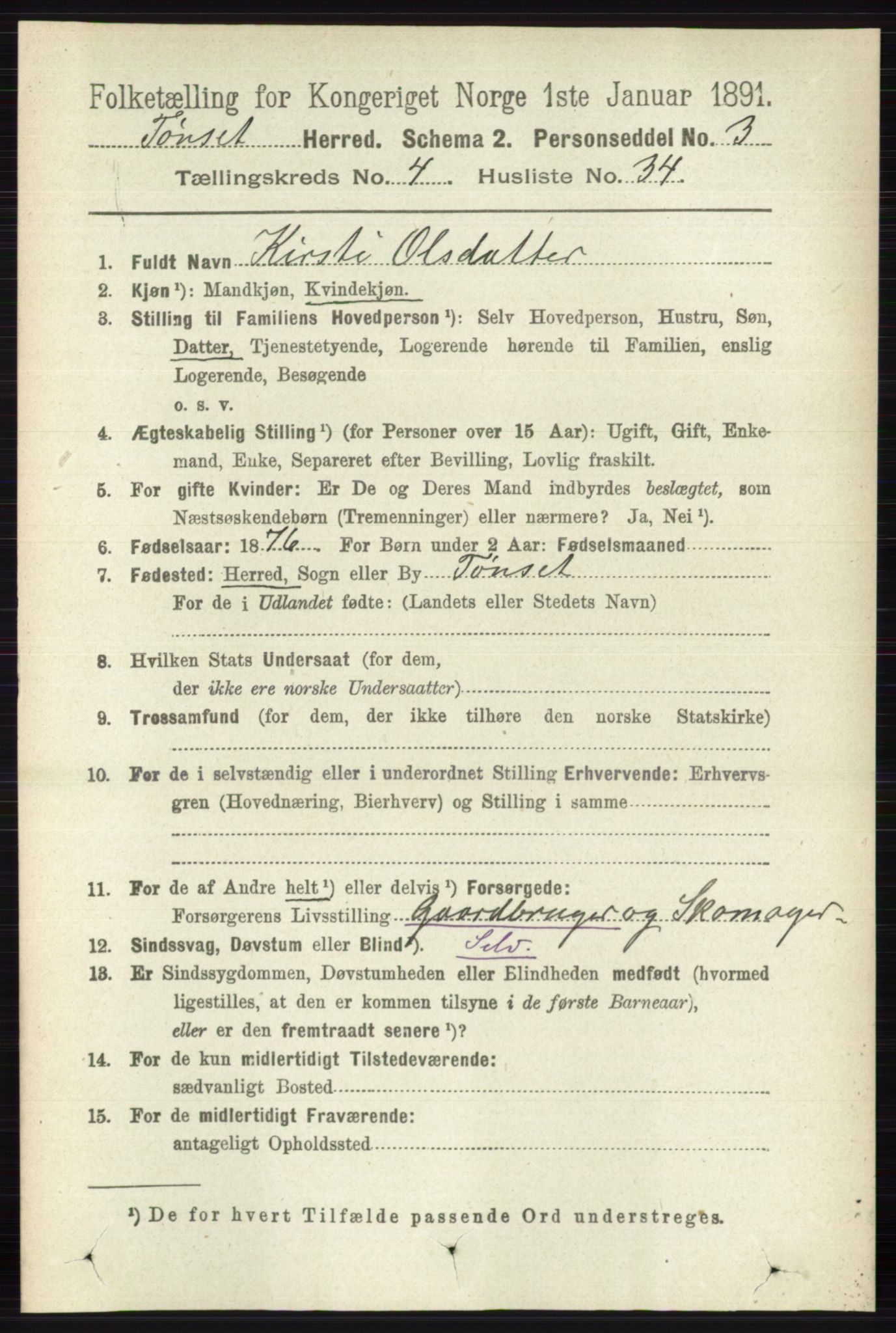 RA, 1891 census for 0437 Tynset, 1891, p. 956