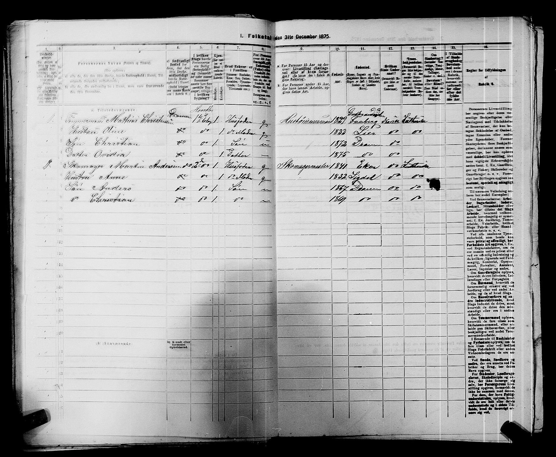 SAKO, 1875 census for 0602 Drammen, 1875, p. 435