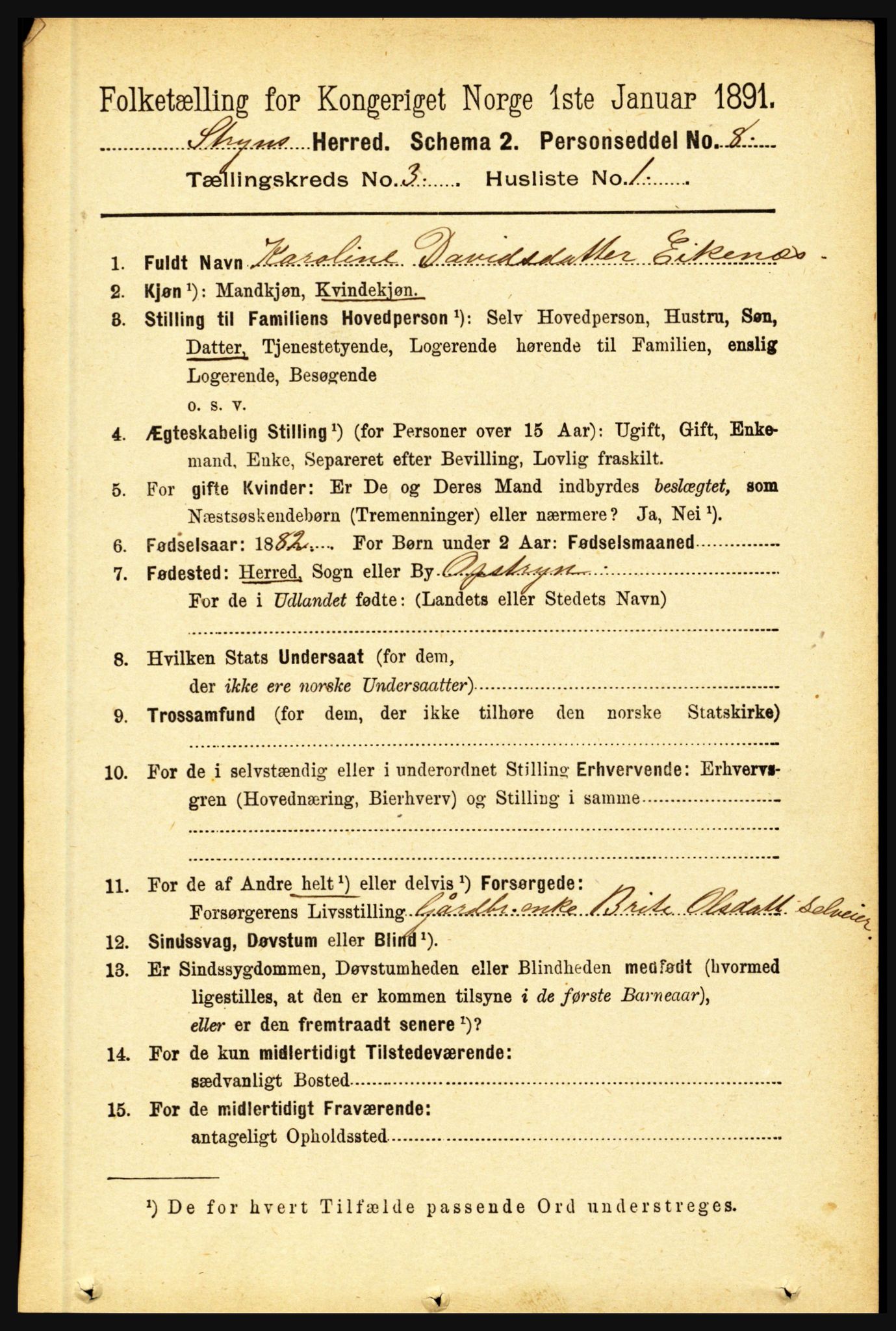 RA, 1891 census for 1448 Stryn, 1891, p. 1103