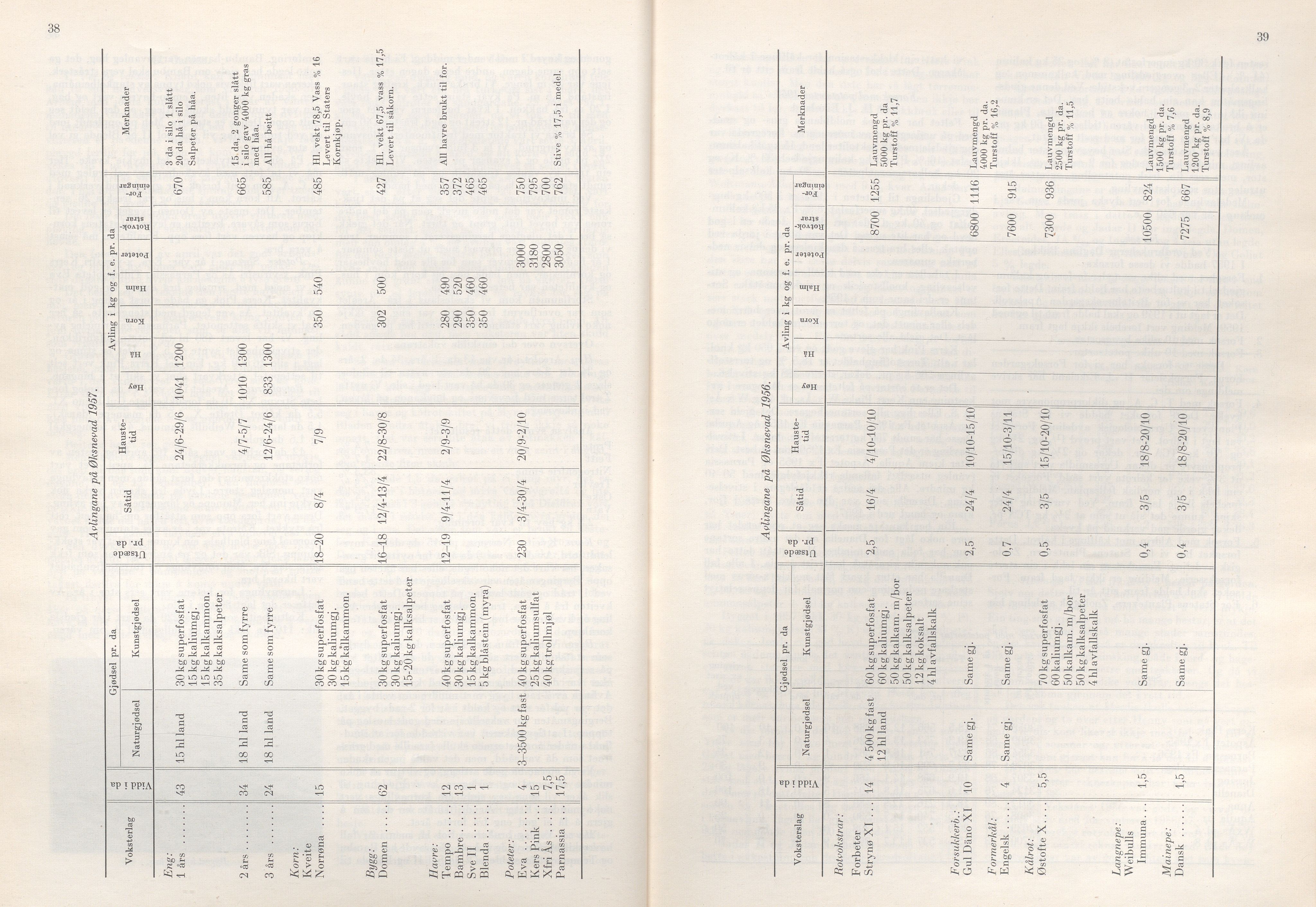 Rogaland fylkeskommune - Fylkesrådmannen , IKAR/A-900/A/Aa/Aaa/L0077: Møtebok , 1958, p. 38-39