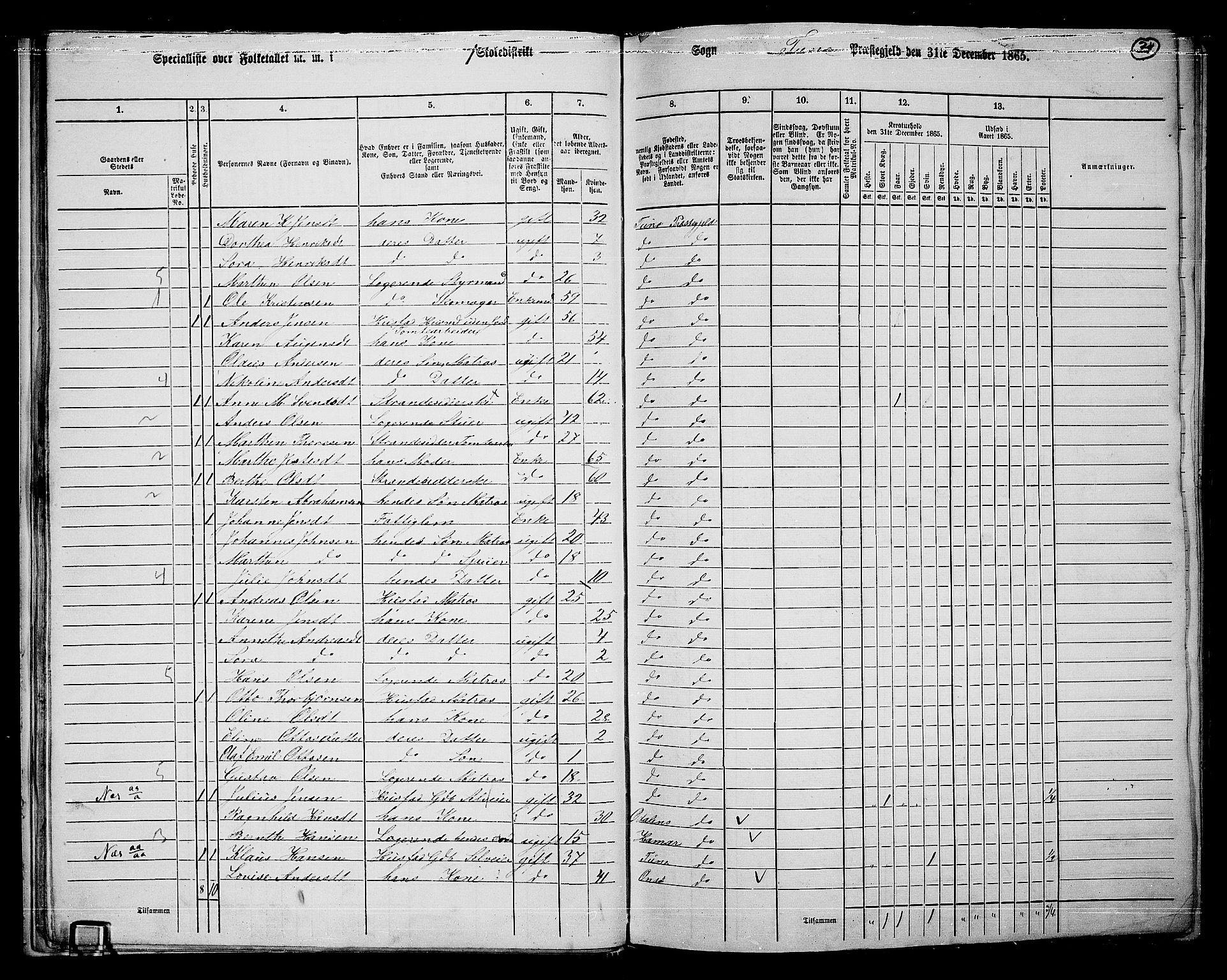 RA, 1865 census for Tune, 1865, p. 31