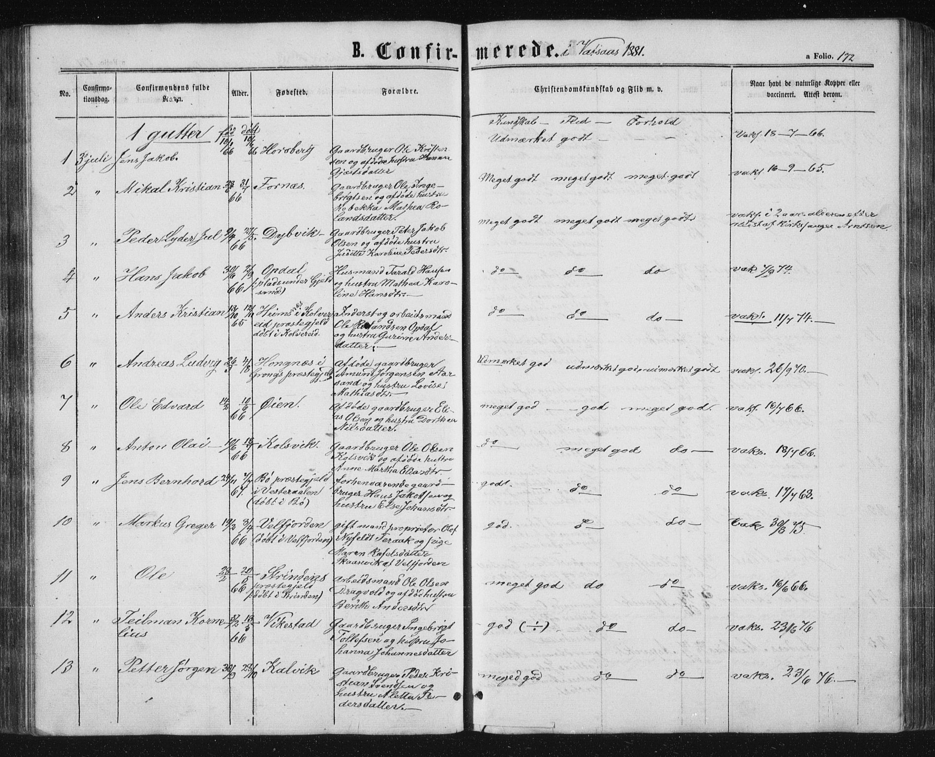 Ministerialprotokoller, klokkerbøker og fødselsregistre - Nordland, AV/SAT-A-1459/810/L0158: Parish register (copy) no. 810C02 /1, 1863-1883, p. 172