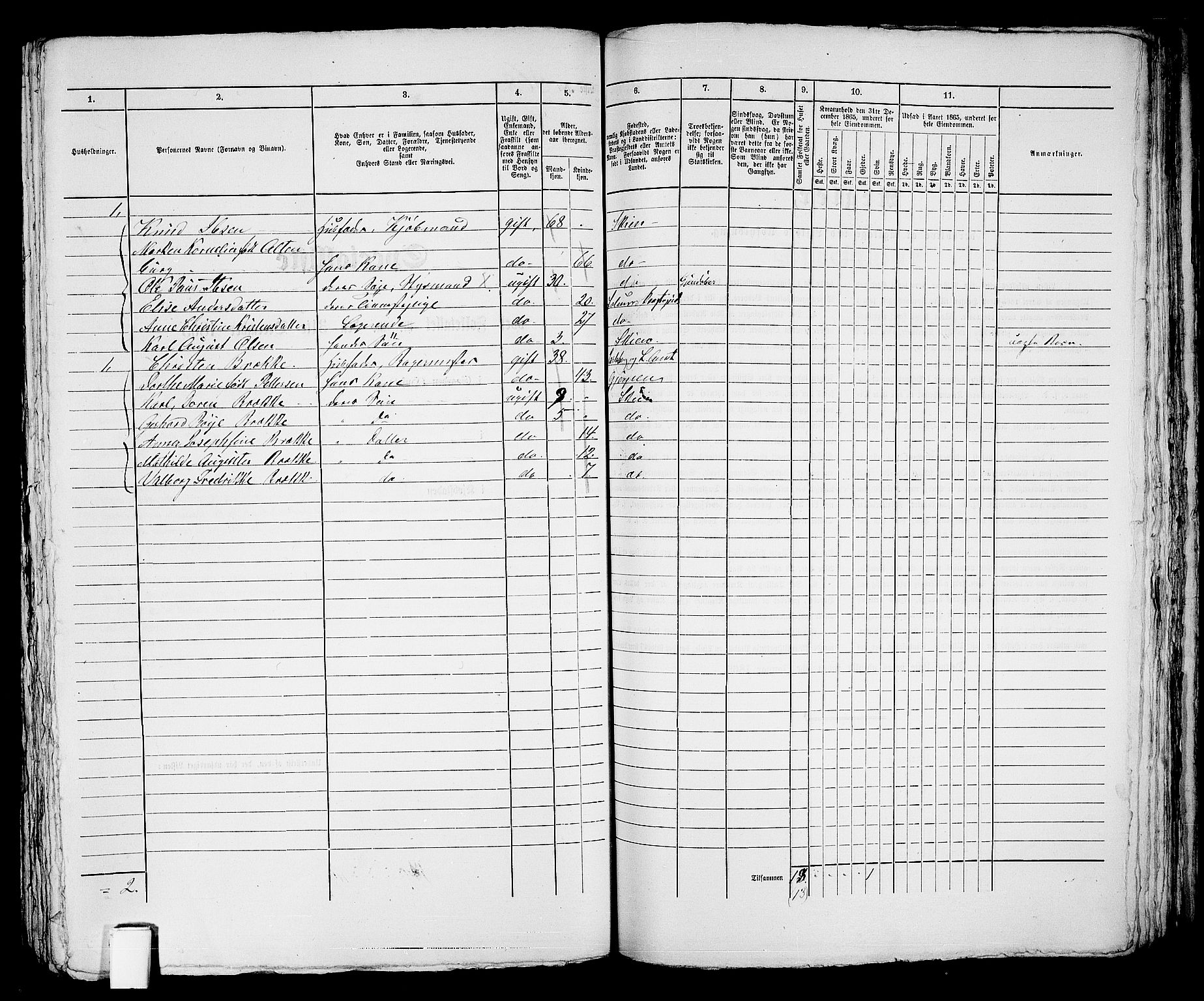 RA, 1865 census for Skien, 1865, p. 753