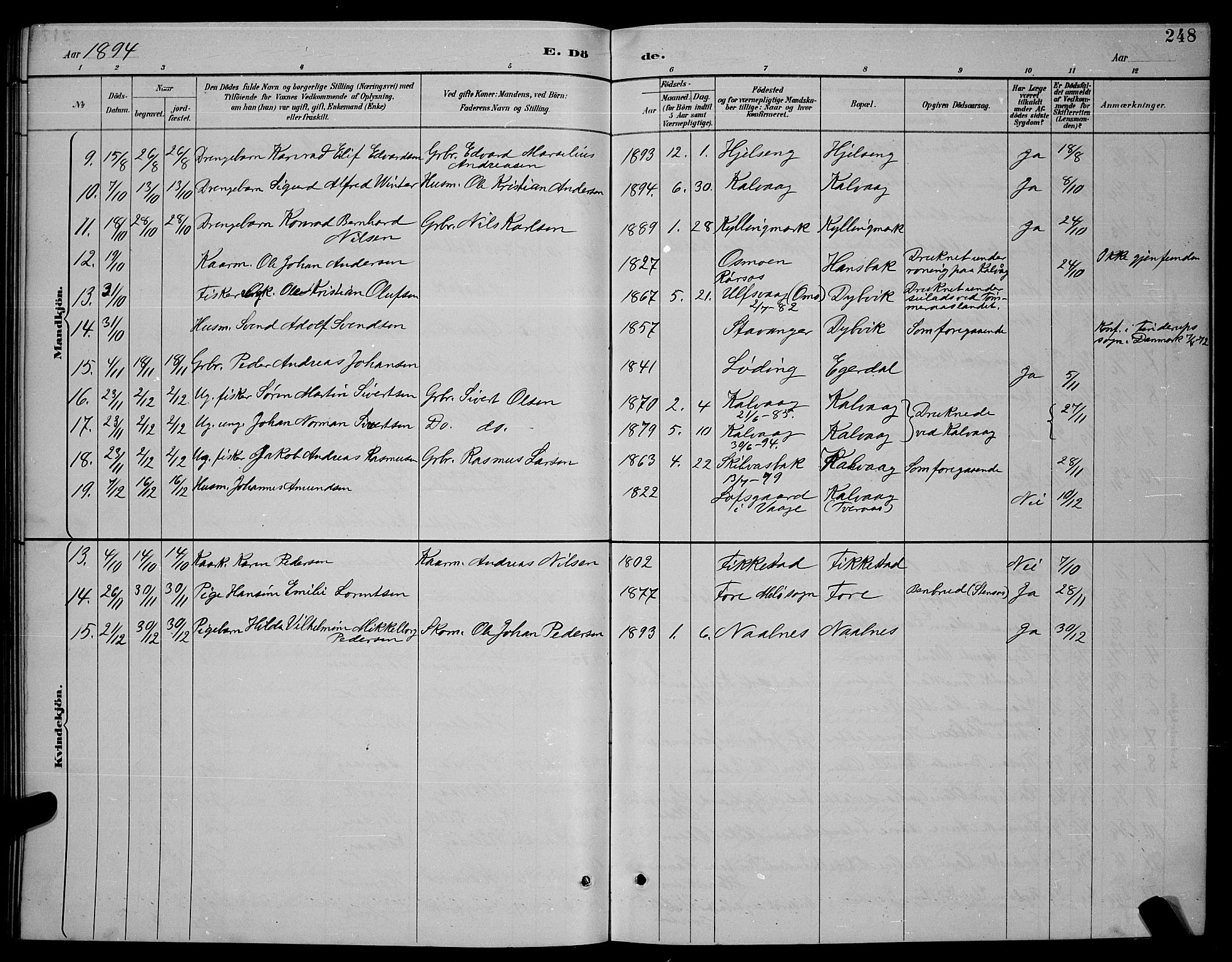 Ministerialprotokoller, klokkerbøker og fødselsregistre - Nordland, AV/SAT-A-1459/859/L0859: Parish register (copy) no. 859C05, 1887-1898, p. 248