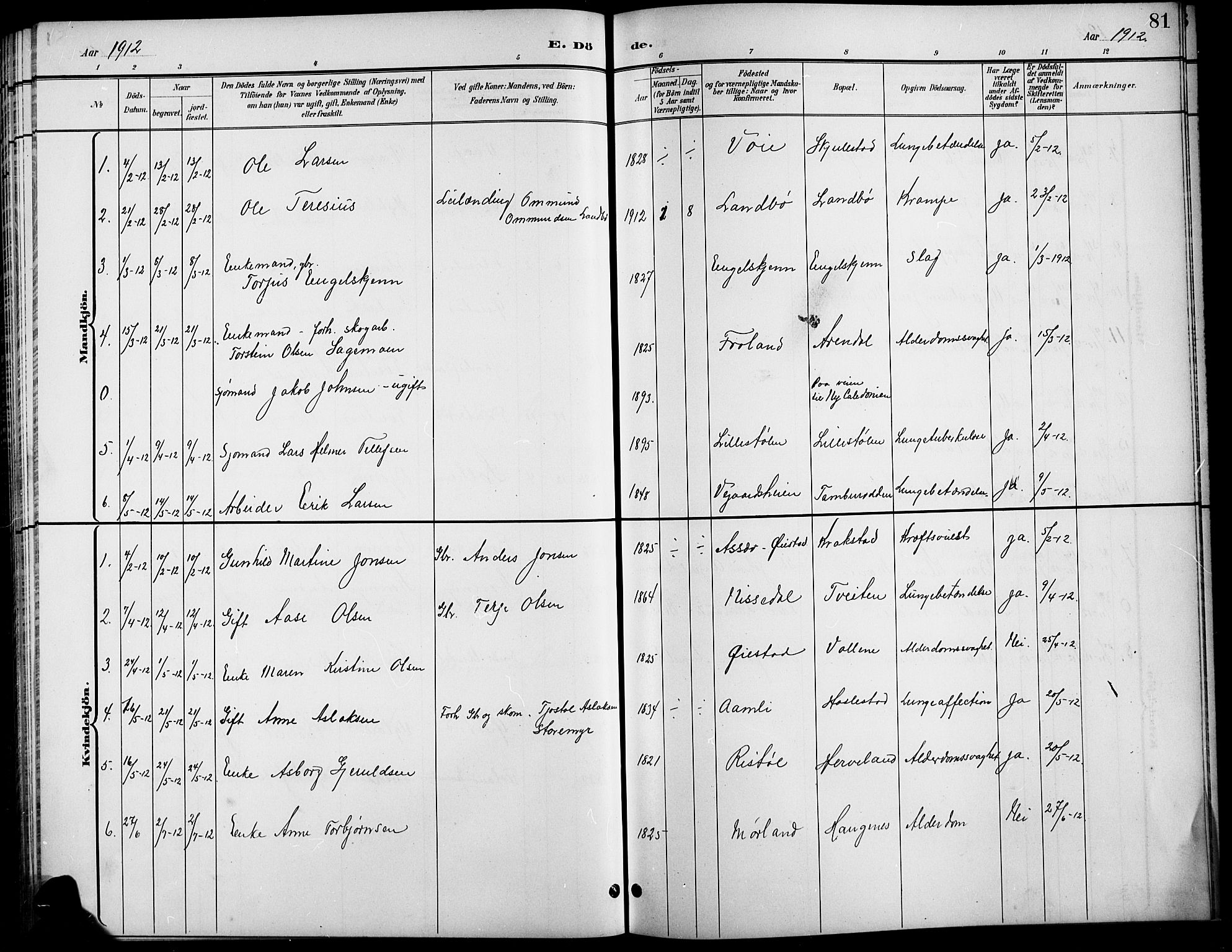 Austre Moland sokneprestkontor, SAK/1111-0001/F/Fb/Fba/L0004: Parish register (copy) no. B 4a, 1897-1913, p. 81