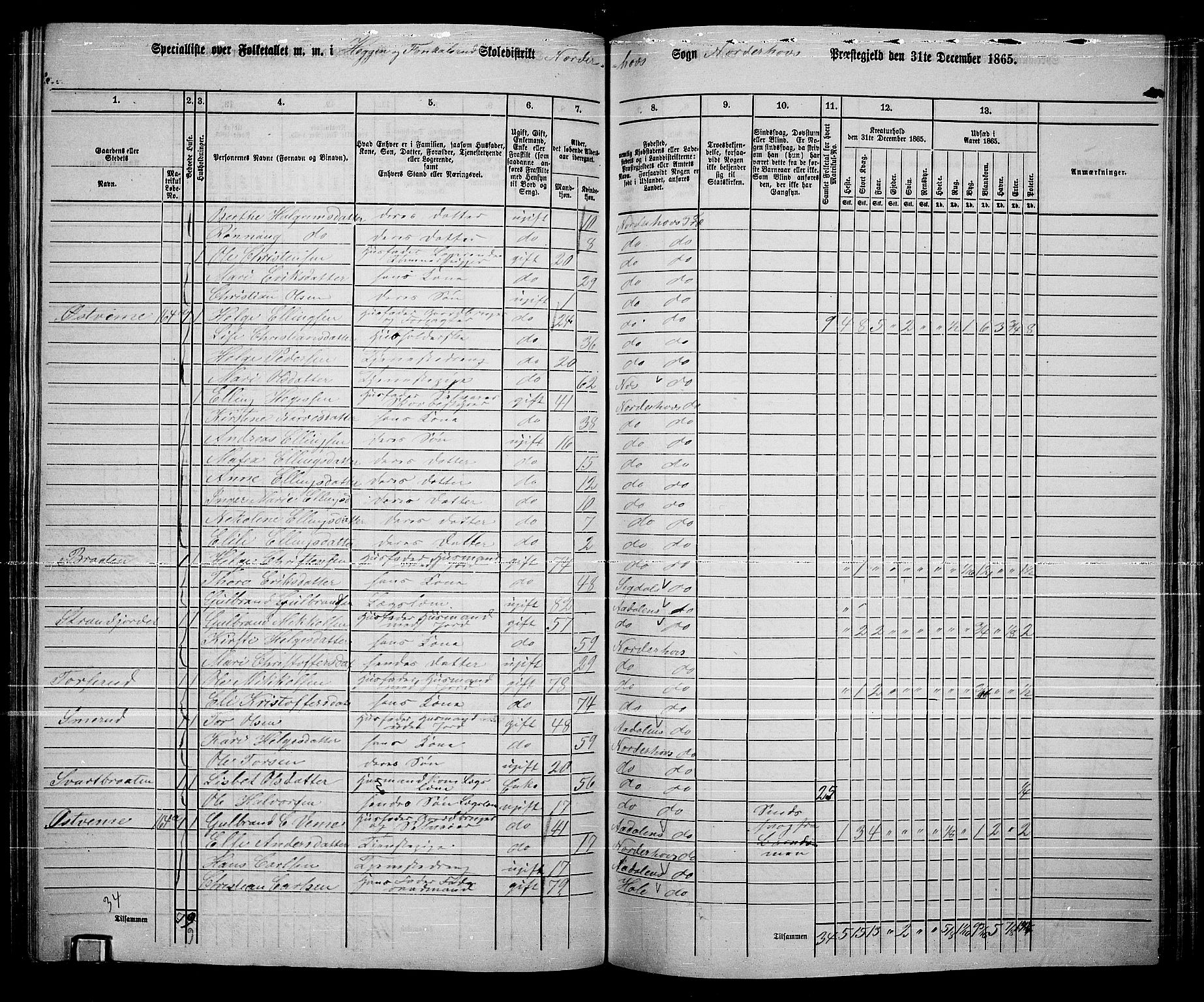 RA, 1865 census for Norderhov/Norderhov, Haug og Lunder, 1865, p. 191