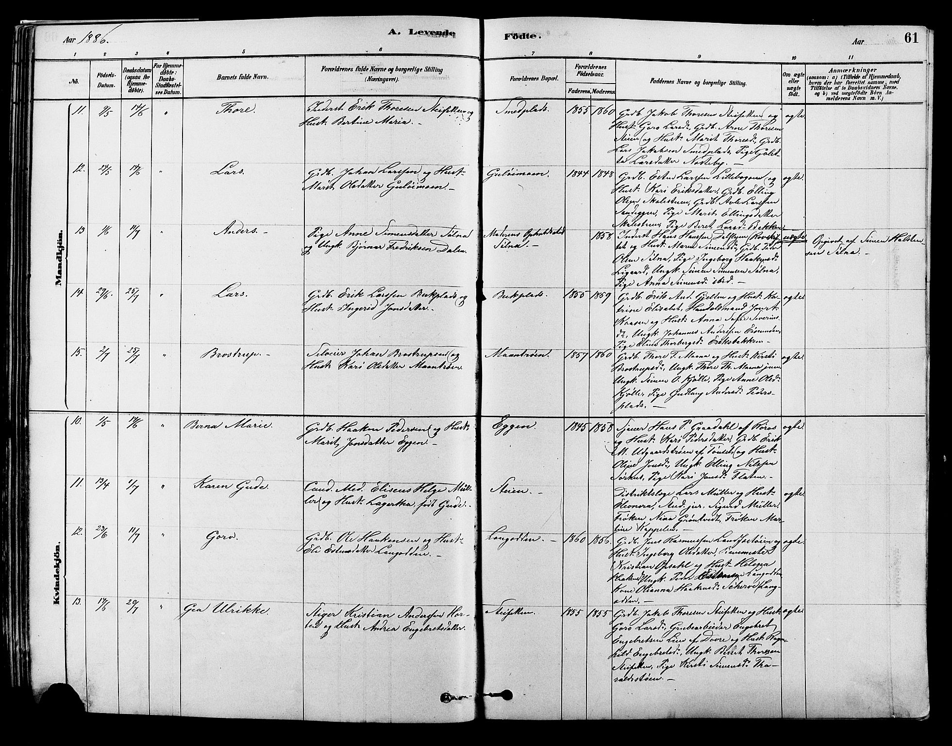 Alvdal prestekontor, SAH/PREST-060/H/Ha/Hab/L0003: Parish register (copy) no. 3, 1878-1907, p. 61