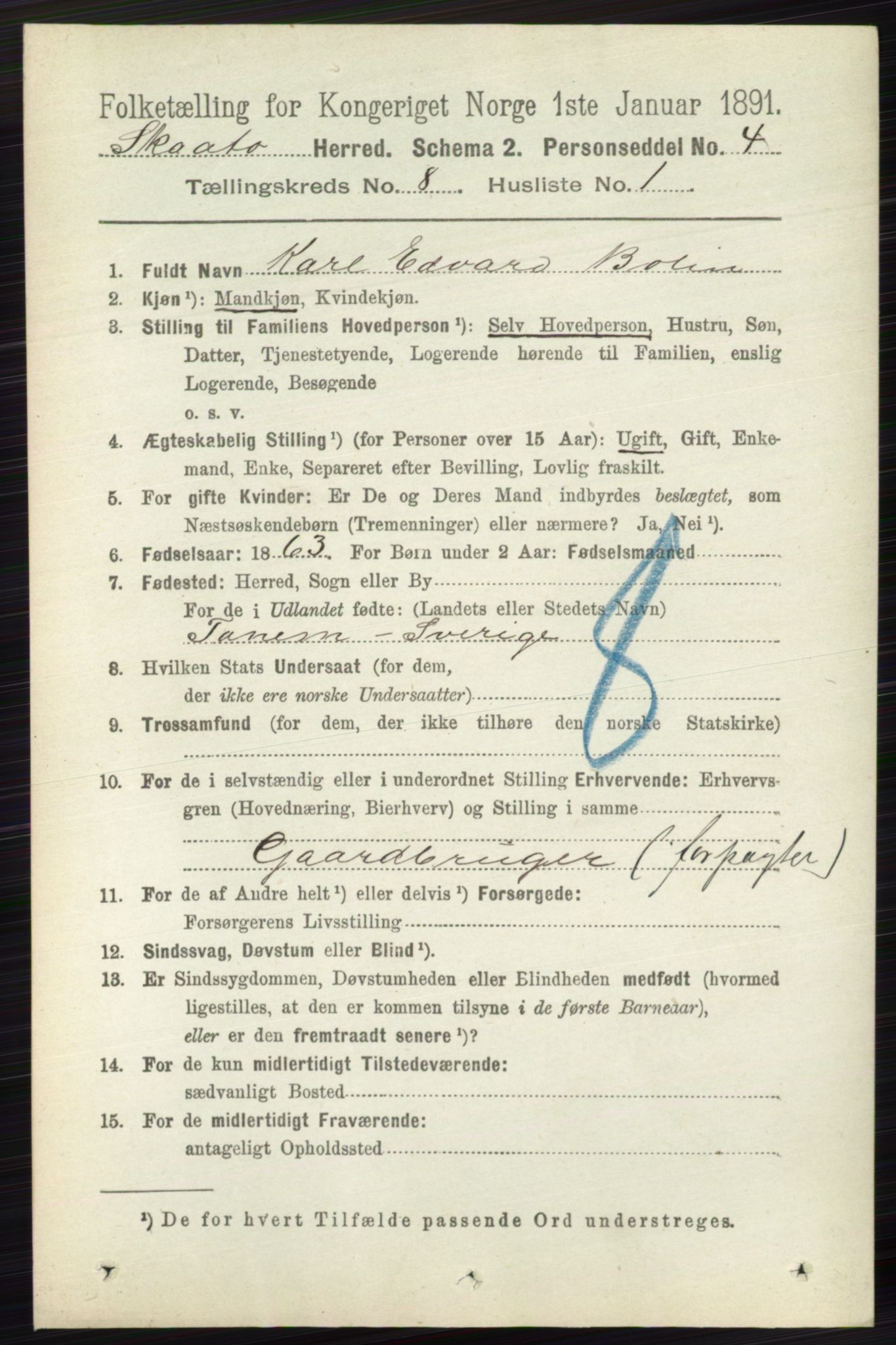 RA, 1891 census for 0815 Skåtøy, 1891, p. 3534