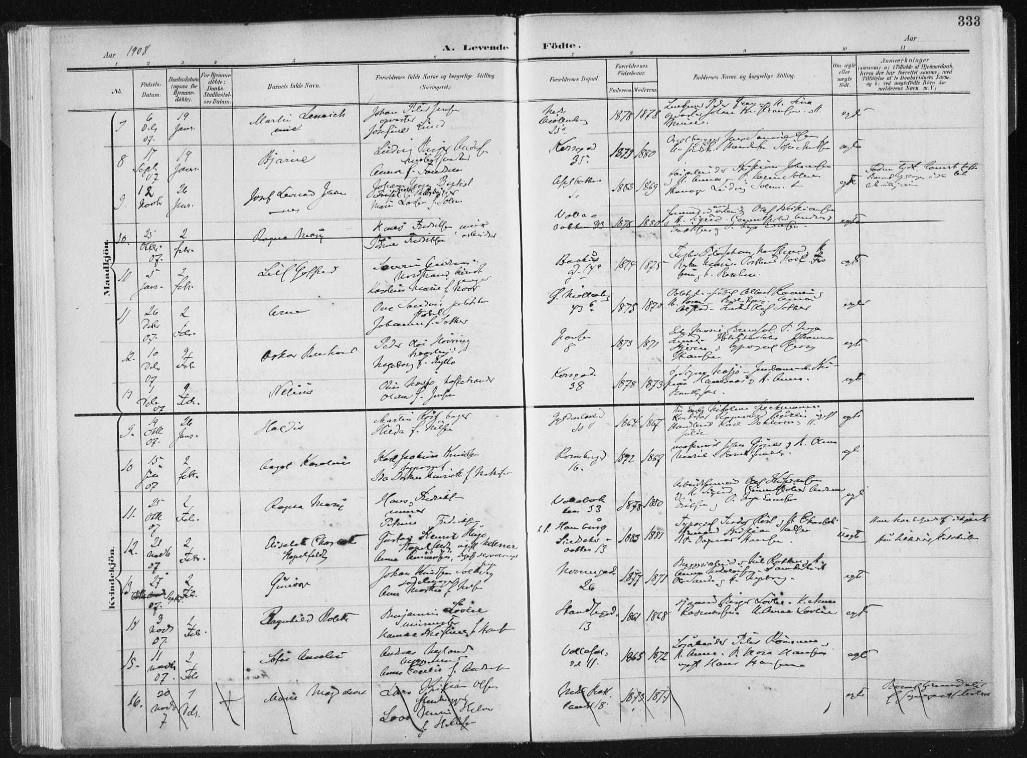 Ministerialprotokoller, klokkerbøker og fødselsregistre - Sør-Trøndelag, SAT/A-1456/604/L0200: Parish register (official) no. 604A20II, 1901-1908, p. 333