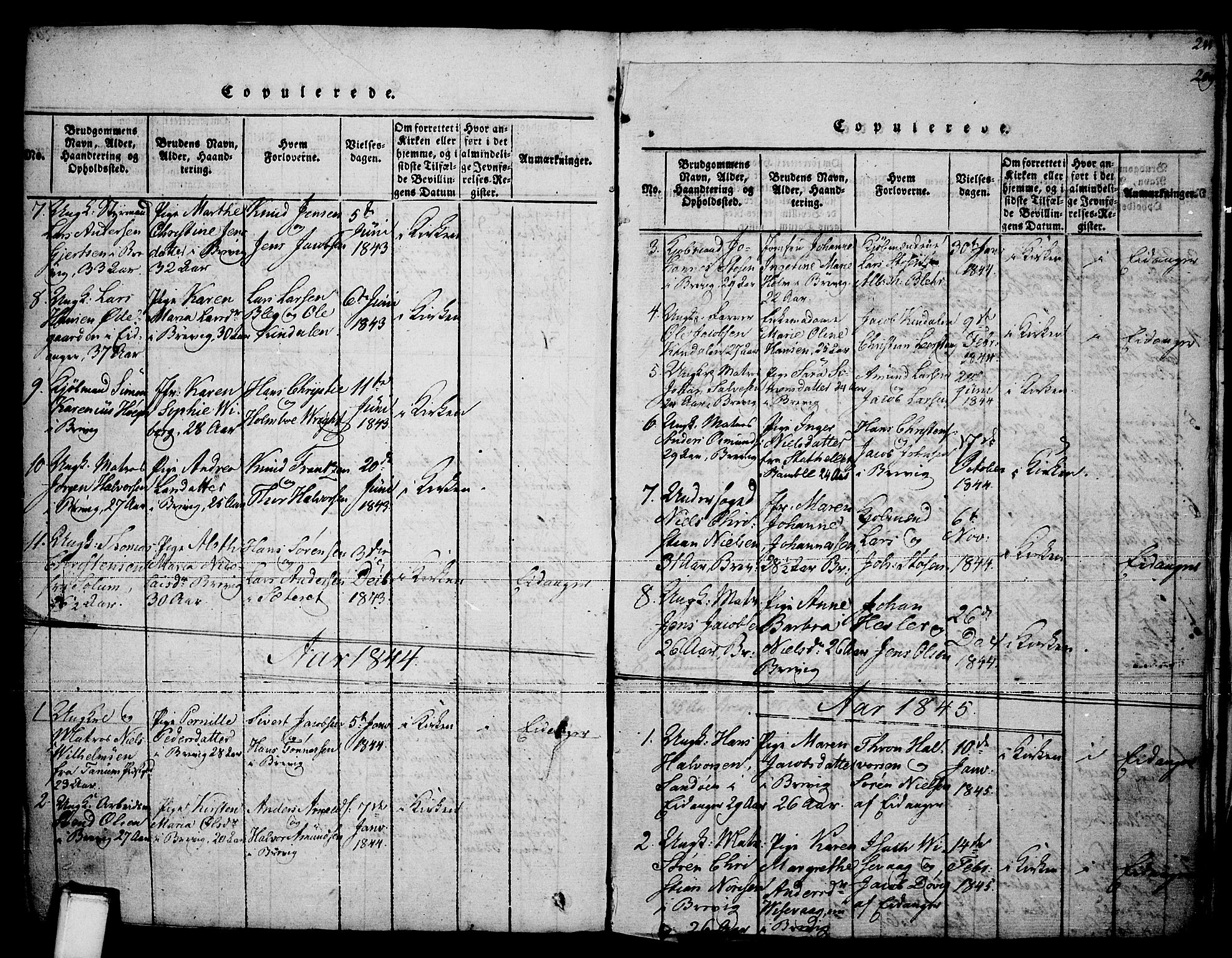 Brevik kirkebøker, SAKO/A-255/F/Fa/L0004: Parish register (official) no. 4, 1814-1846, p. 209