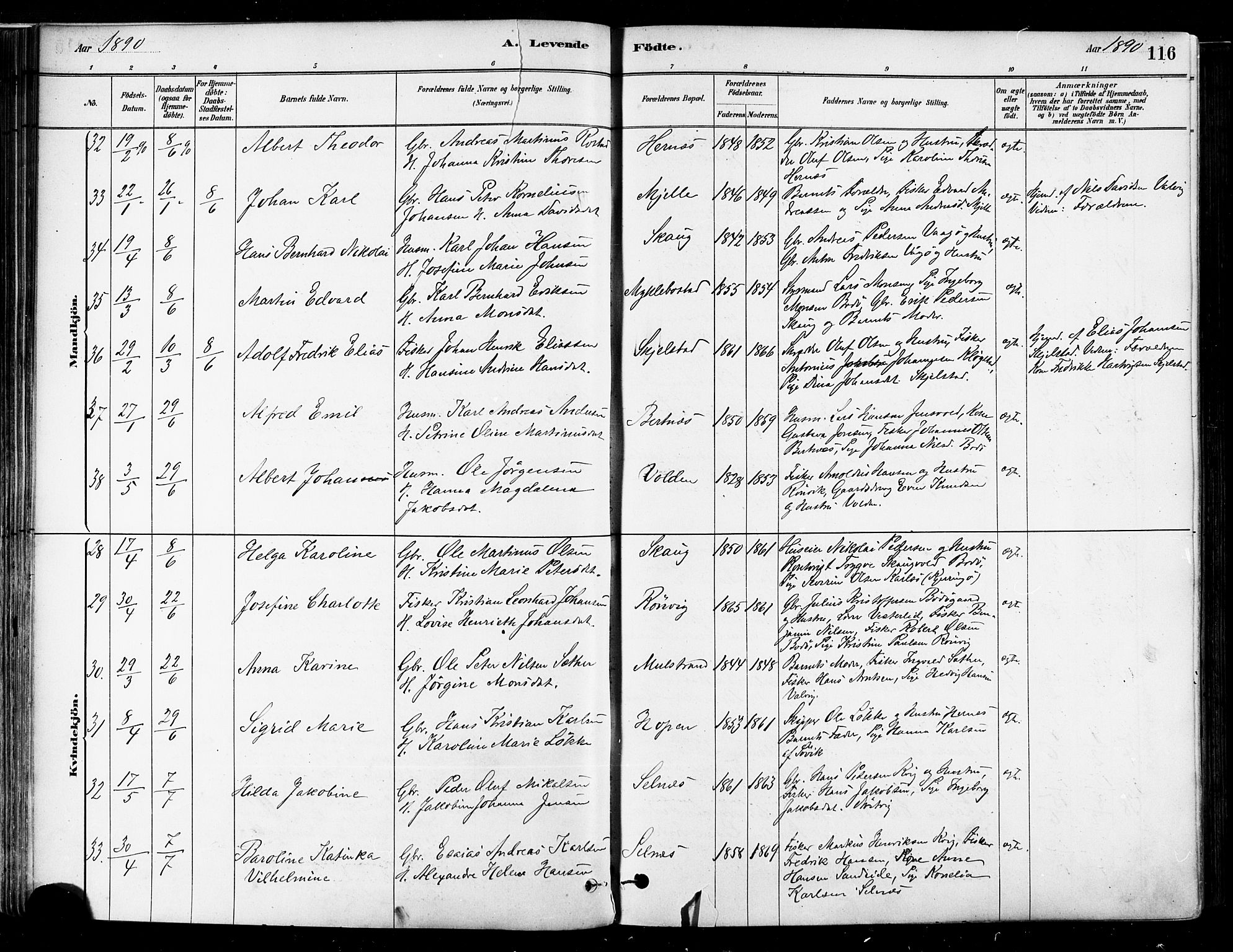 Ministerialprotokoller, klokkerbøker og fødselsregistre - Nordland, SAT/A-1459/802/L0054: Parish register (official) no. 802A01, 1879-1893, p. 116