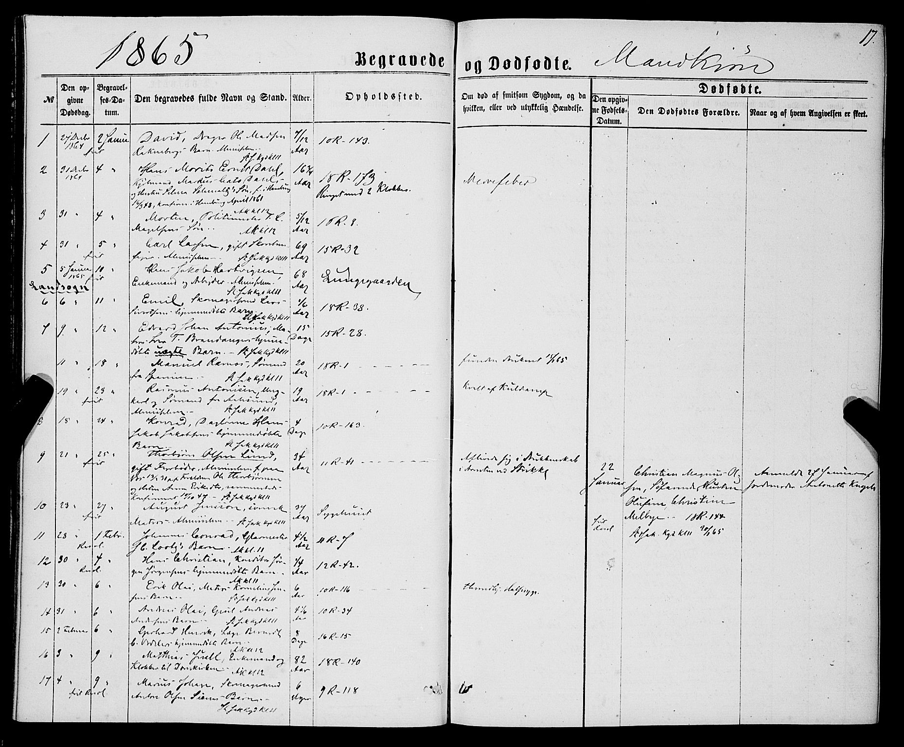 Domkirken sokneprestembete, SAB/A-74801/H/Haa/L0042: Parish register (official) no. E 3, 1863-1876, p. 17