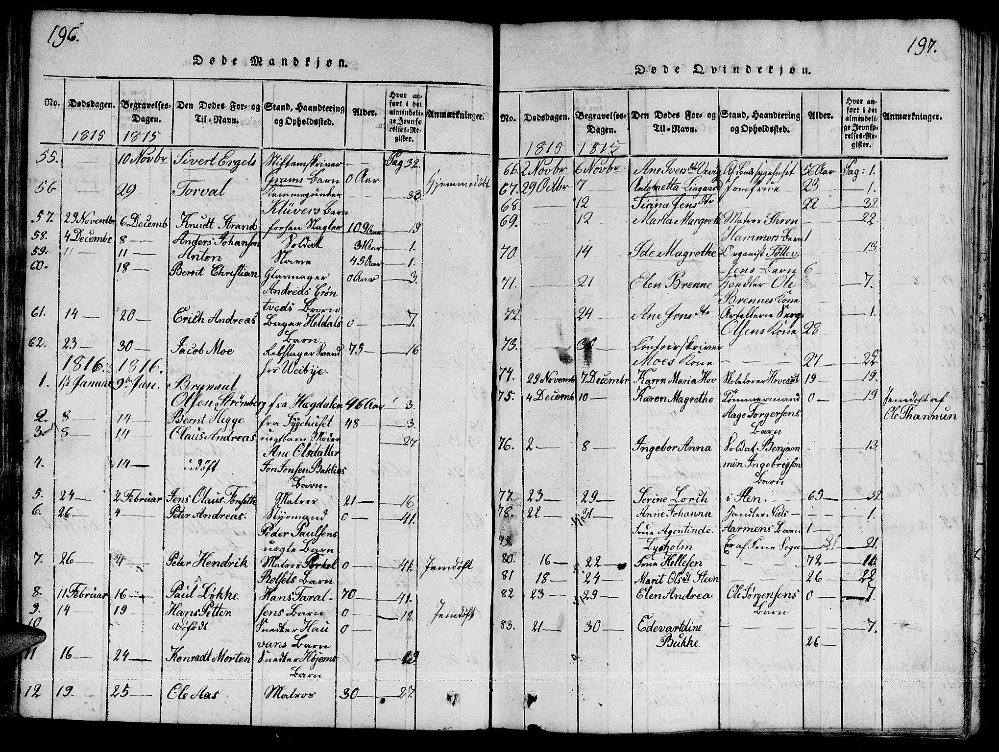 Ministerialprotokoller, klokkerbøker og fødselsregistre - Sør-Trøndelag, SAT/A-1456/601/L0043: Parish register (official) no. 601A11, 1815-1821, p. 196-197