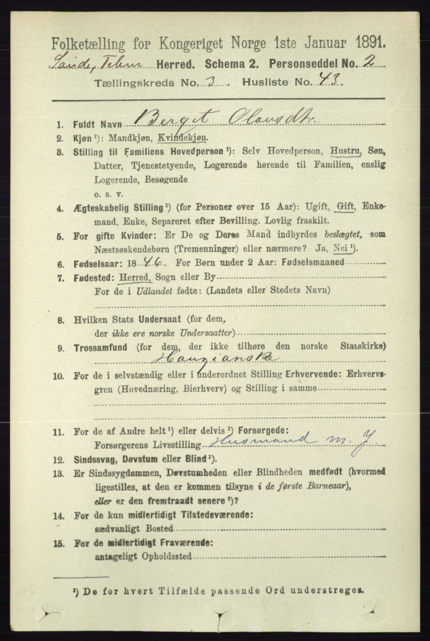 RA, 1891 census for 0822 Sauherad, 1891, p. 953