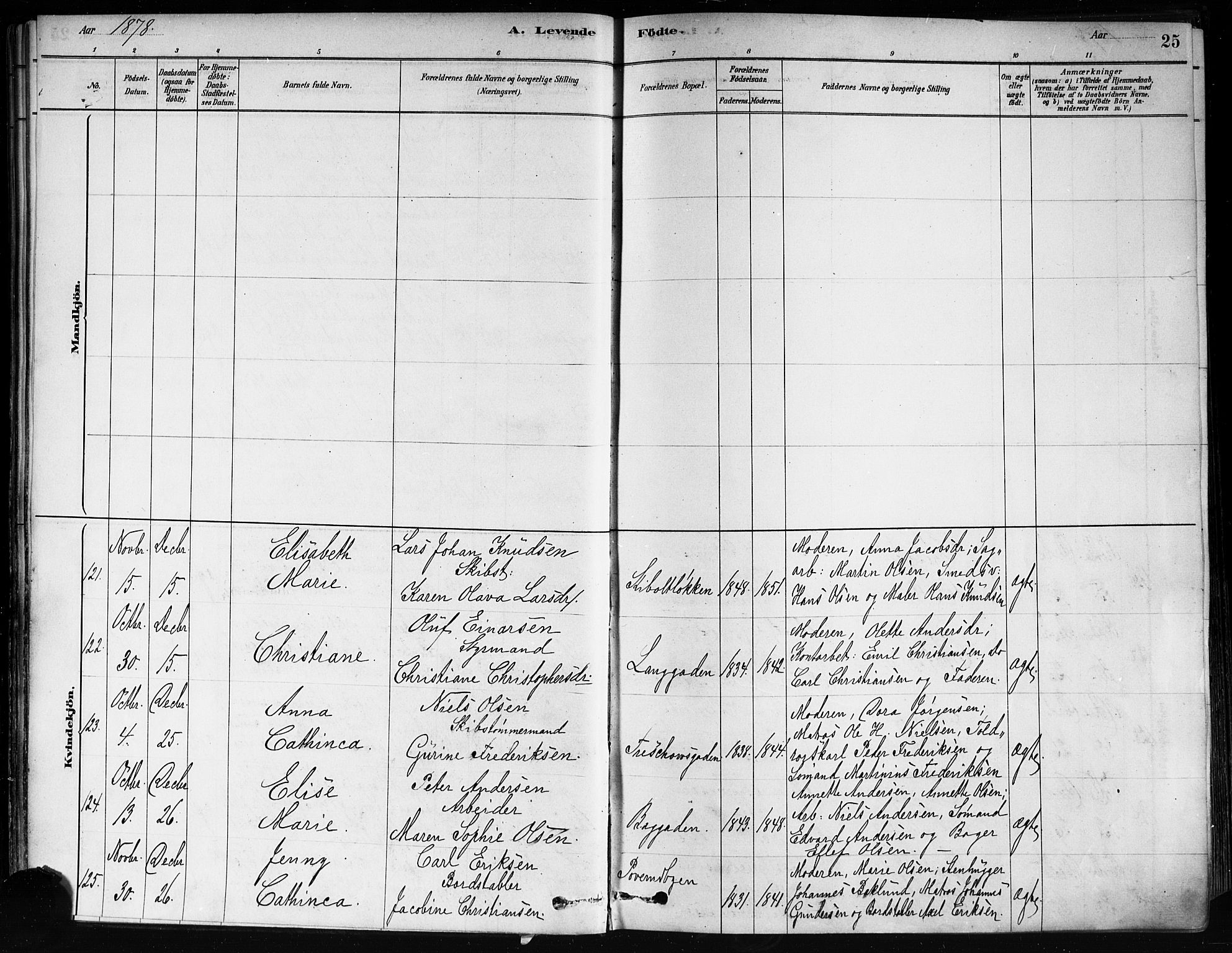 Strømsø kirkebøker, AV/SAKO-A-246/F/Fa/L0021: Parish register (official) no. I 21, 1878-1885, p. 25