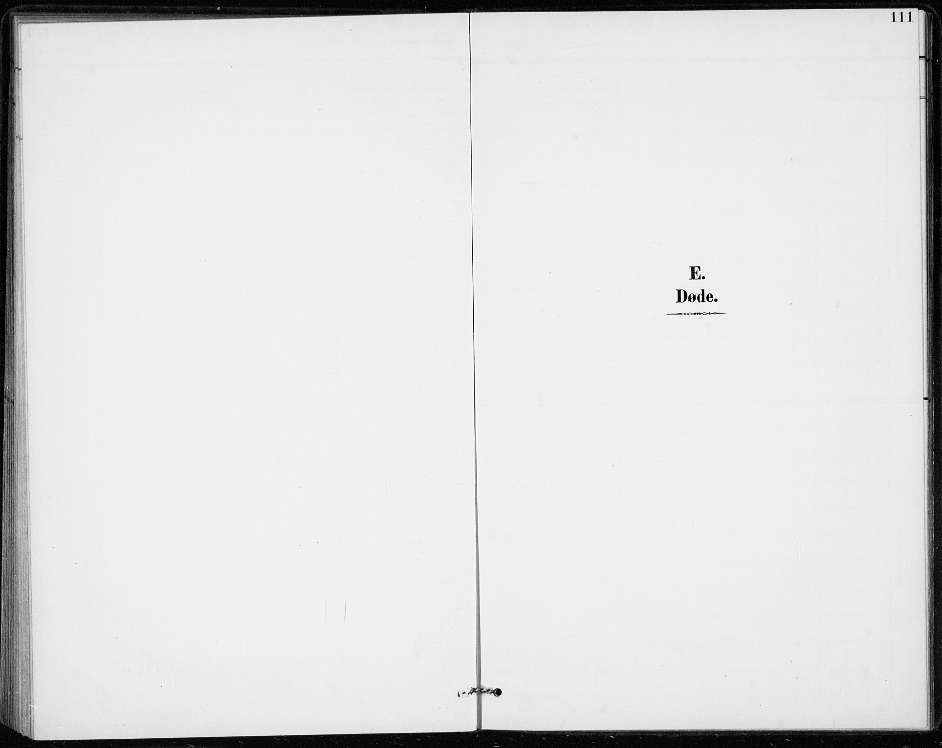 Modum kirkebøker, SAKO/A-234/F/Fa/L0020: Parish register (official) no. 20, 1900-1917, p. 111
