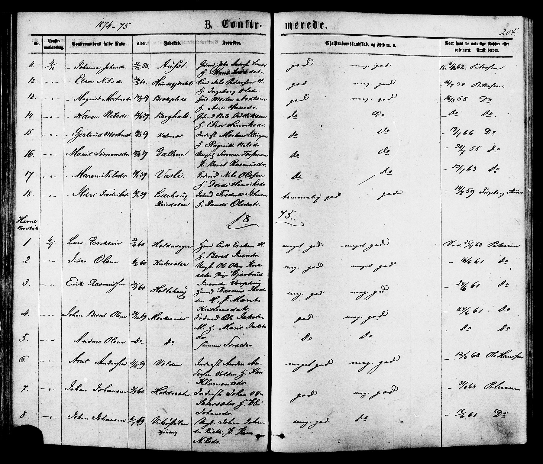 Ministerialprotokoller, klokkerbøker og fødselsregistre - Sør-Trøndelag, SAT/A-1456/630/L0495: Parish register (official) no. 630A08, 1868-1878, p. 204