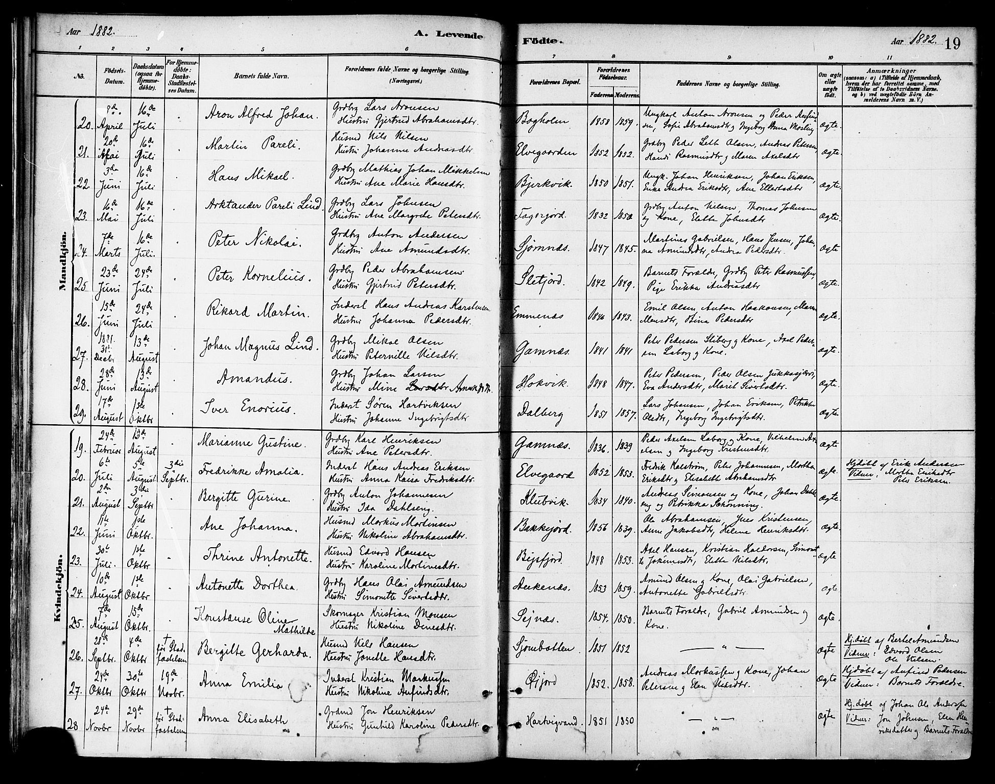 Ministerialprotokoller, klokkerbøker og fødselsregistre - Nordland, AV/SAT-A-1459/866/L0938: Parish register (official) no. 866A01, 1879-1893, p. 19